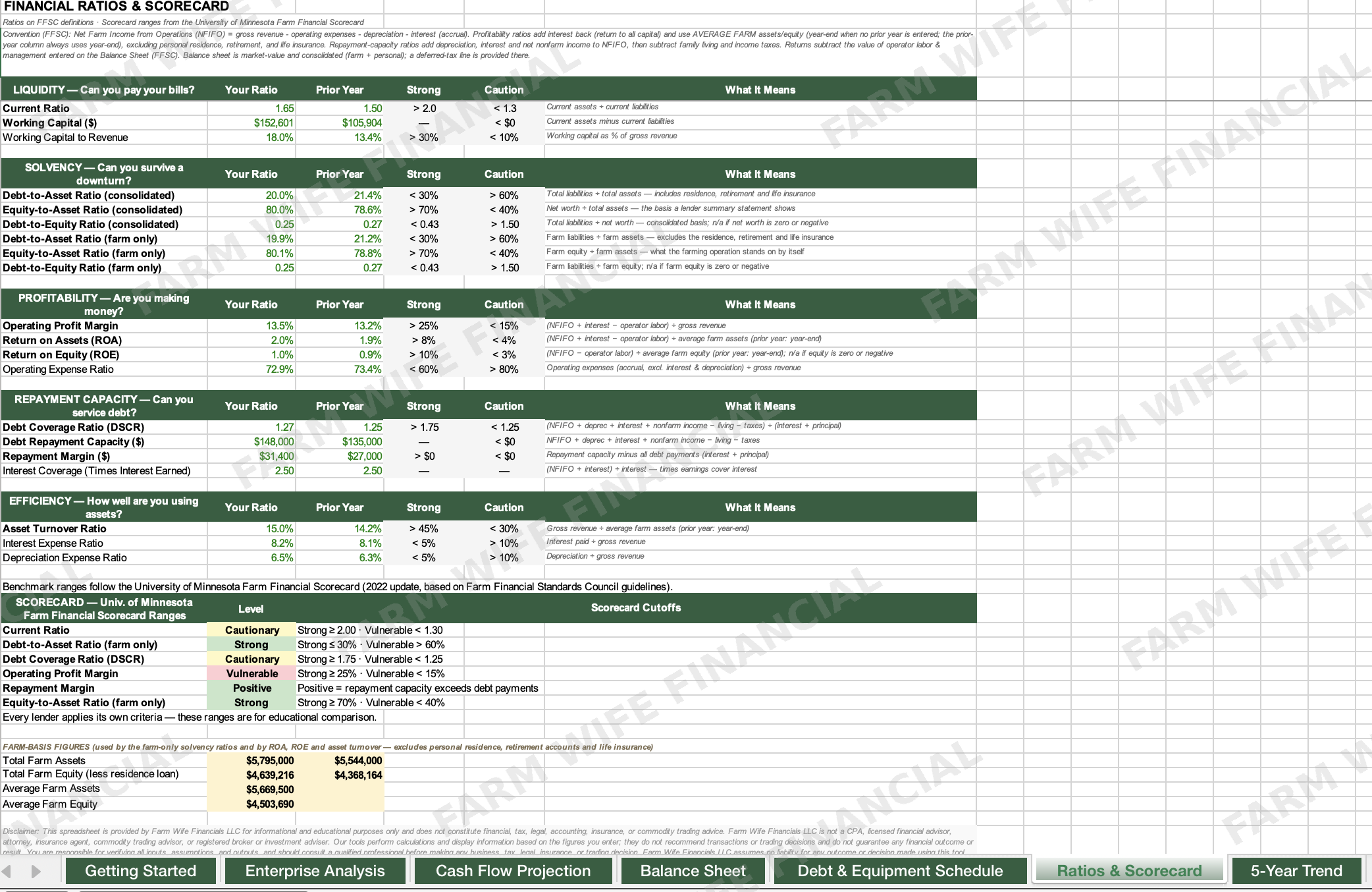 financial_ratios_scorecard_watermarked.png