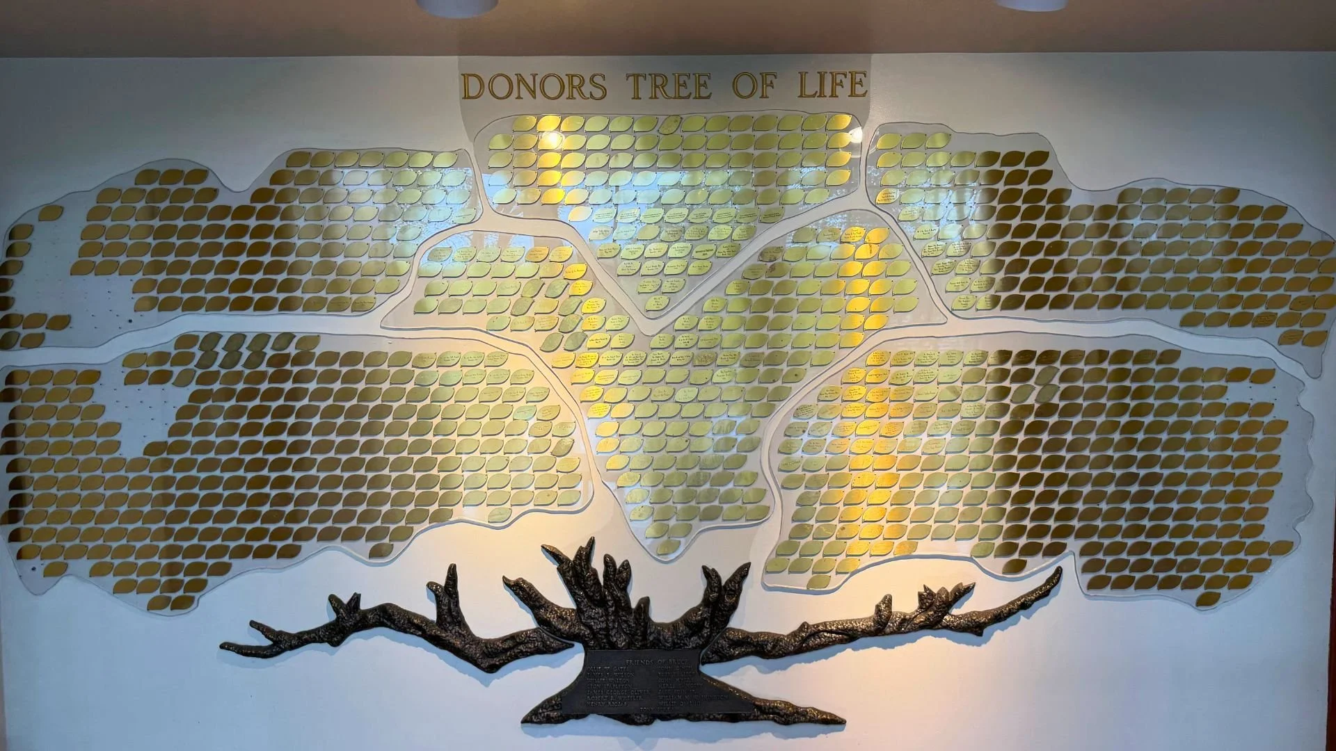 A wall display titled 'Donors Tree of Life' with numerous gold-colored leaf-shaped plaques attached to a white background, each representing a donor. A decorative sculpture of a tree with branches is at the base of the display.