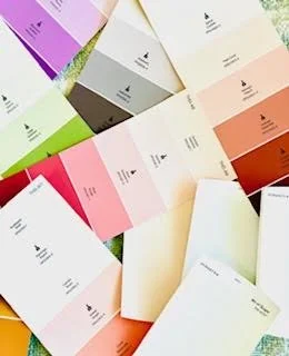 Arrangement of various color swatch cards with text and logo, spread out on a grassy surface.