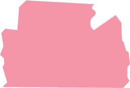 Corresponding map color for York County in SC