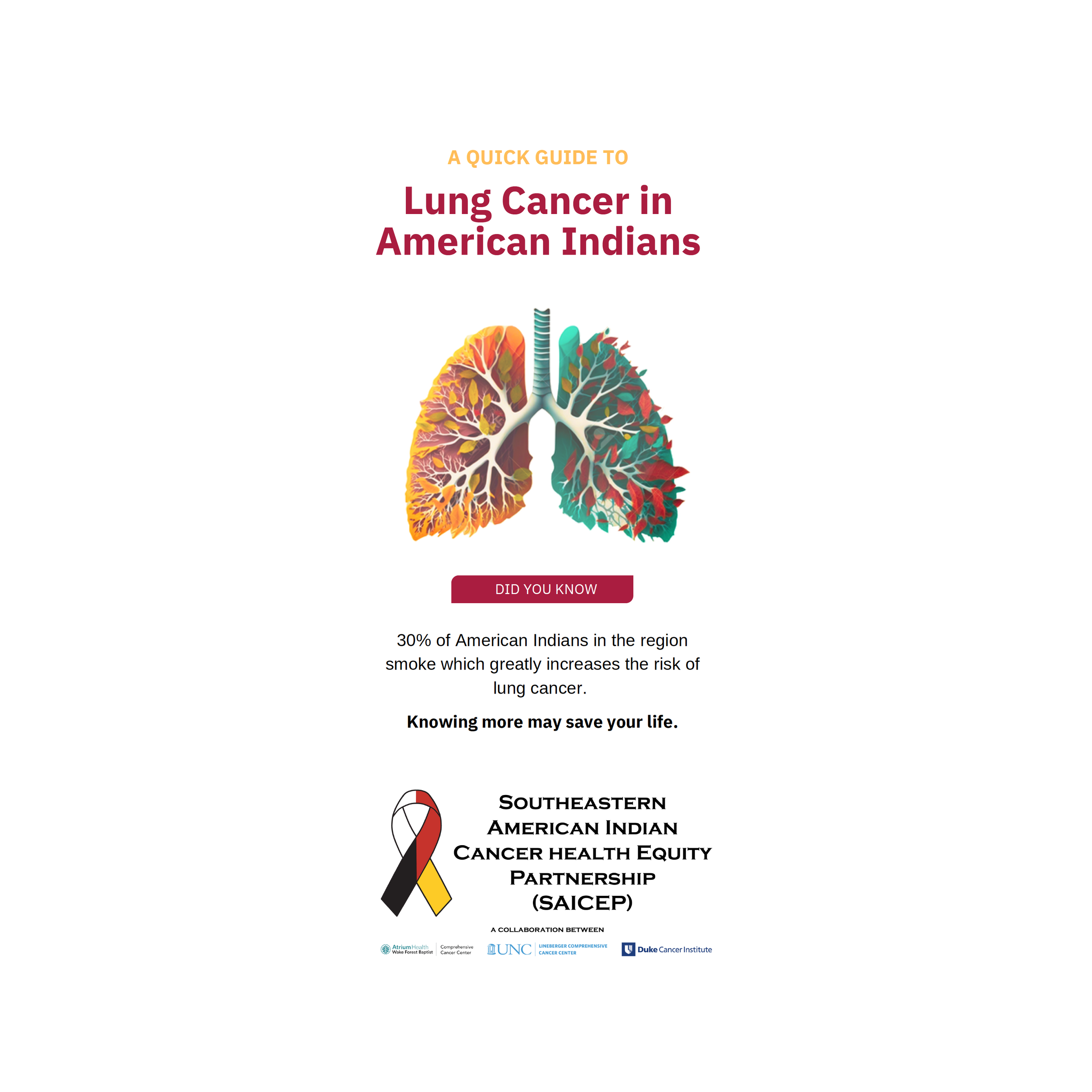 SAICEP: A Quick Guide to Lung Cancer in American Indians Brochure Cover