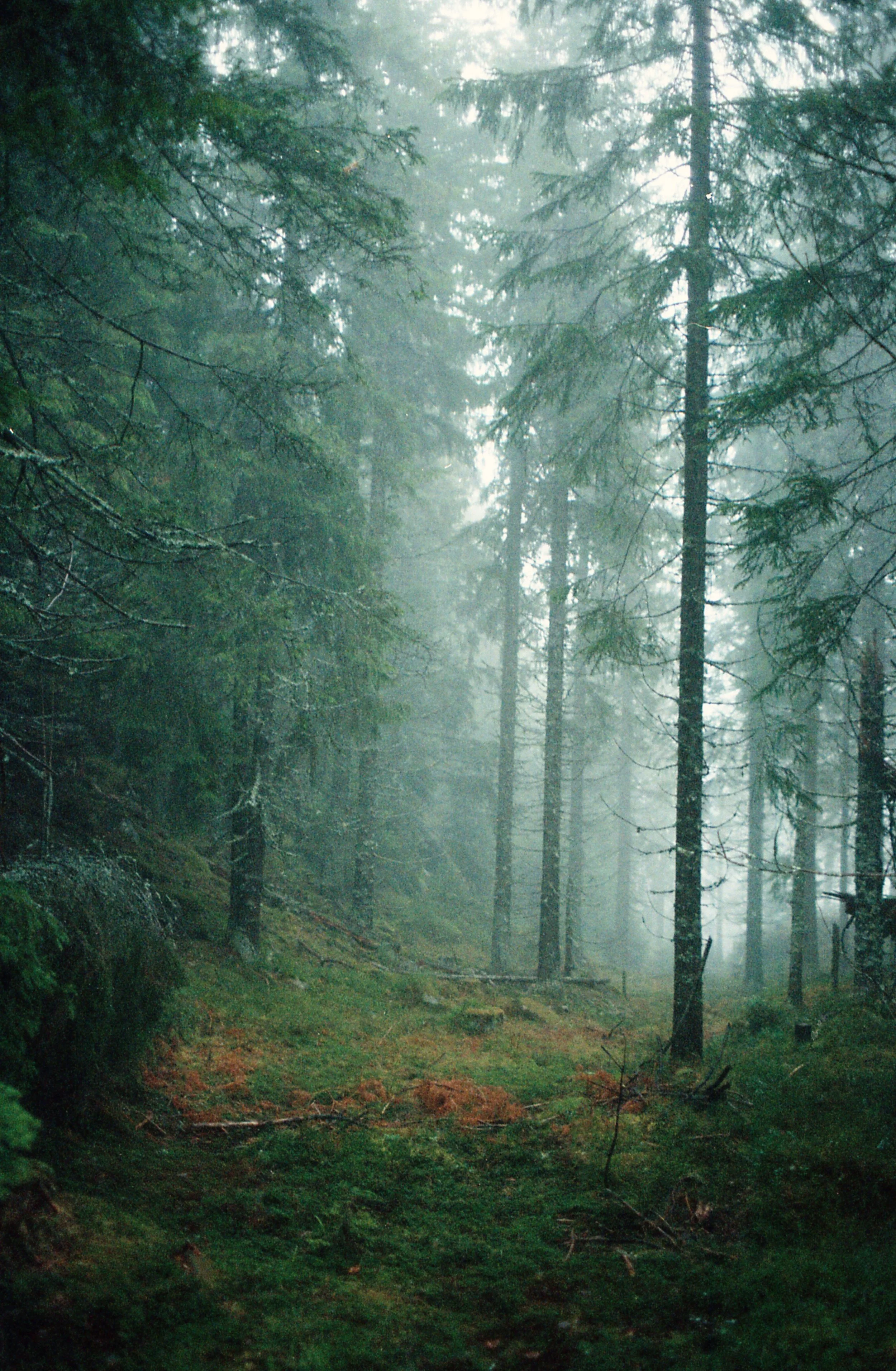 norway697+copy.jpg