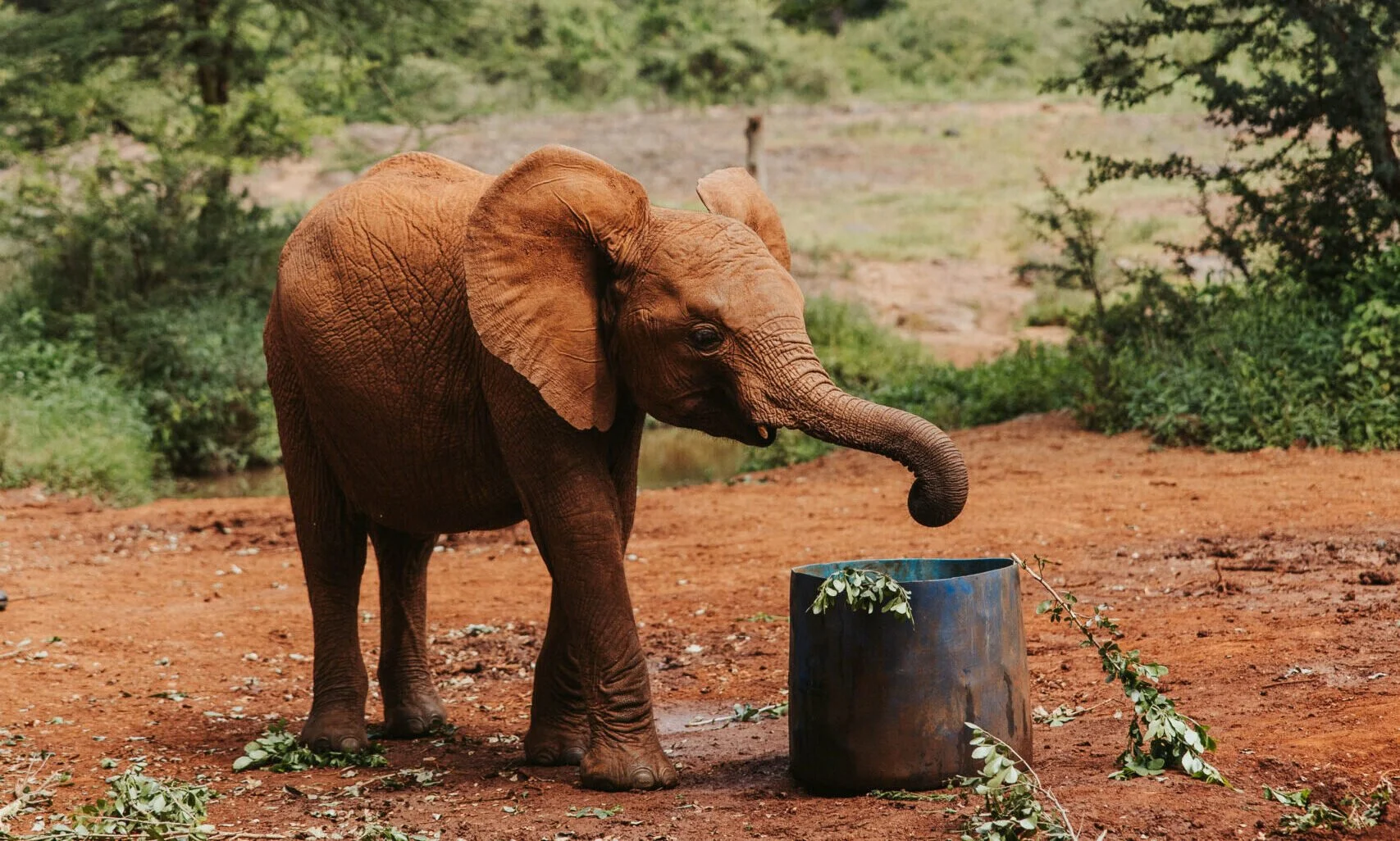 Ololo-Safaris-62940-scaled-e1742007350920.jpg