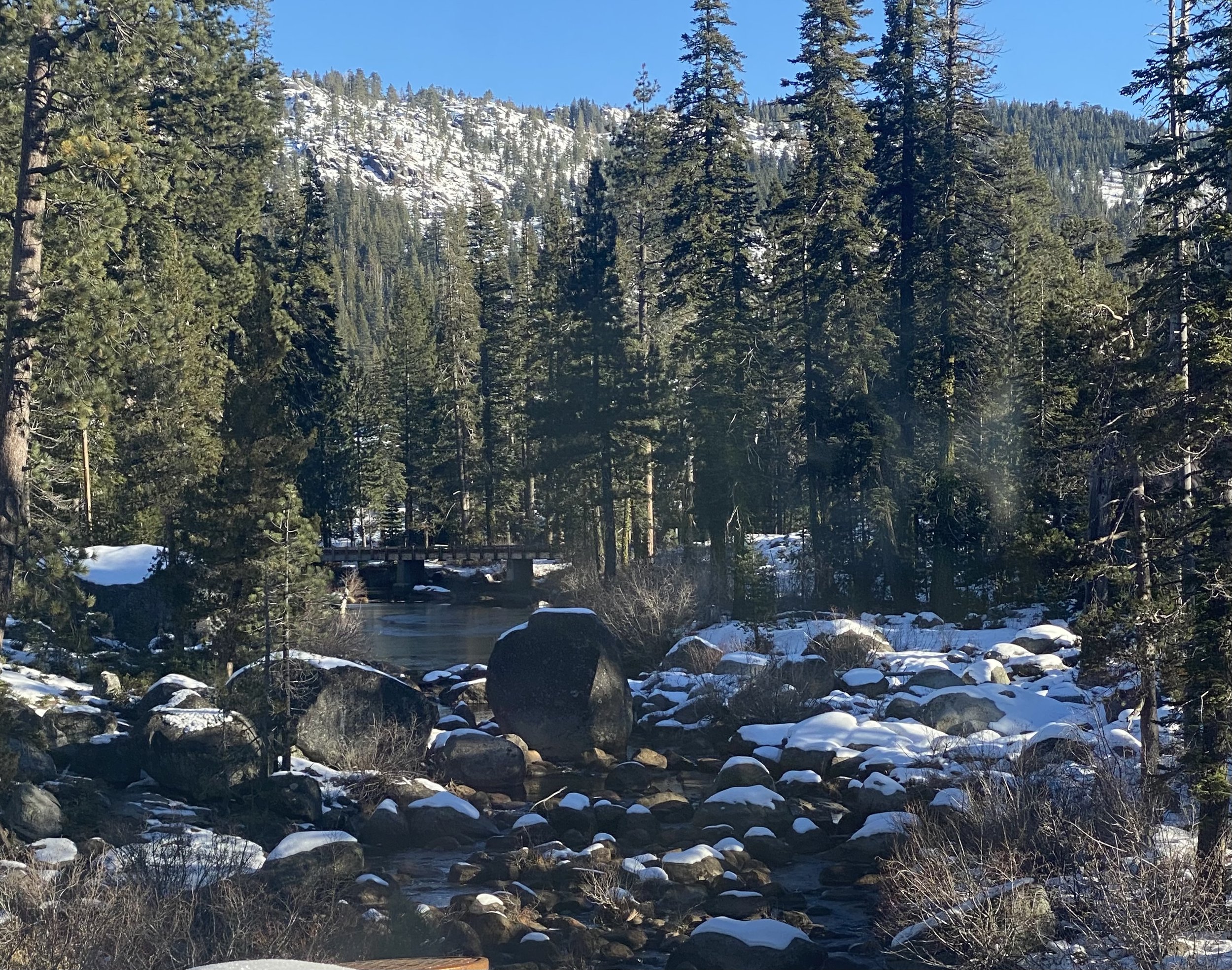 A winter landscape with a river flowing through a forest of tall evergreen trees, some snow on the ground and rocks, and snow-covered mountain slopes in the background under a clear blue sky.