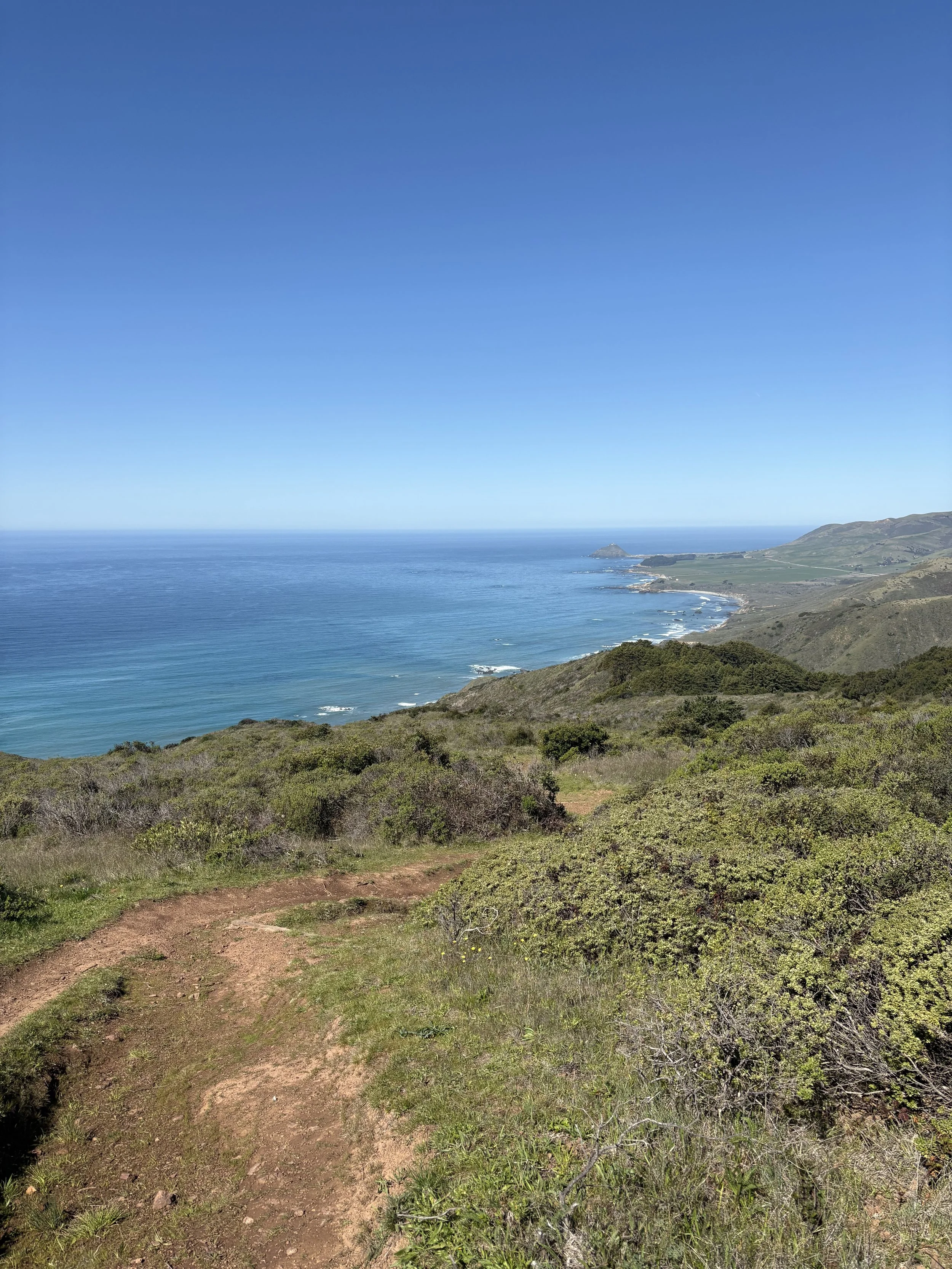 A coastal landscape with a dirt trail in the foreground, green bushes and grasses on the hillside, and the ocean with gentle waves stretching to the horizon under a clear blue sky.