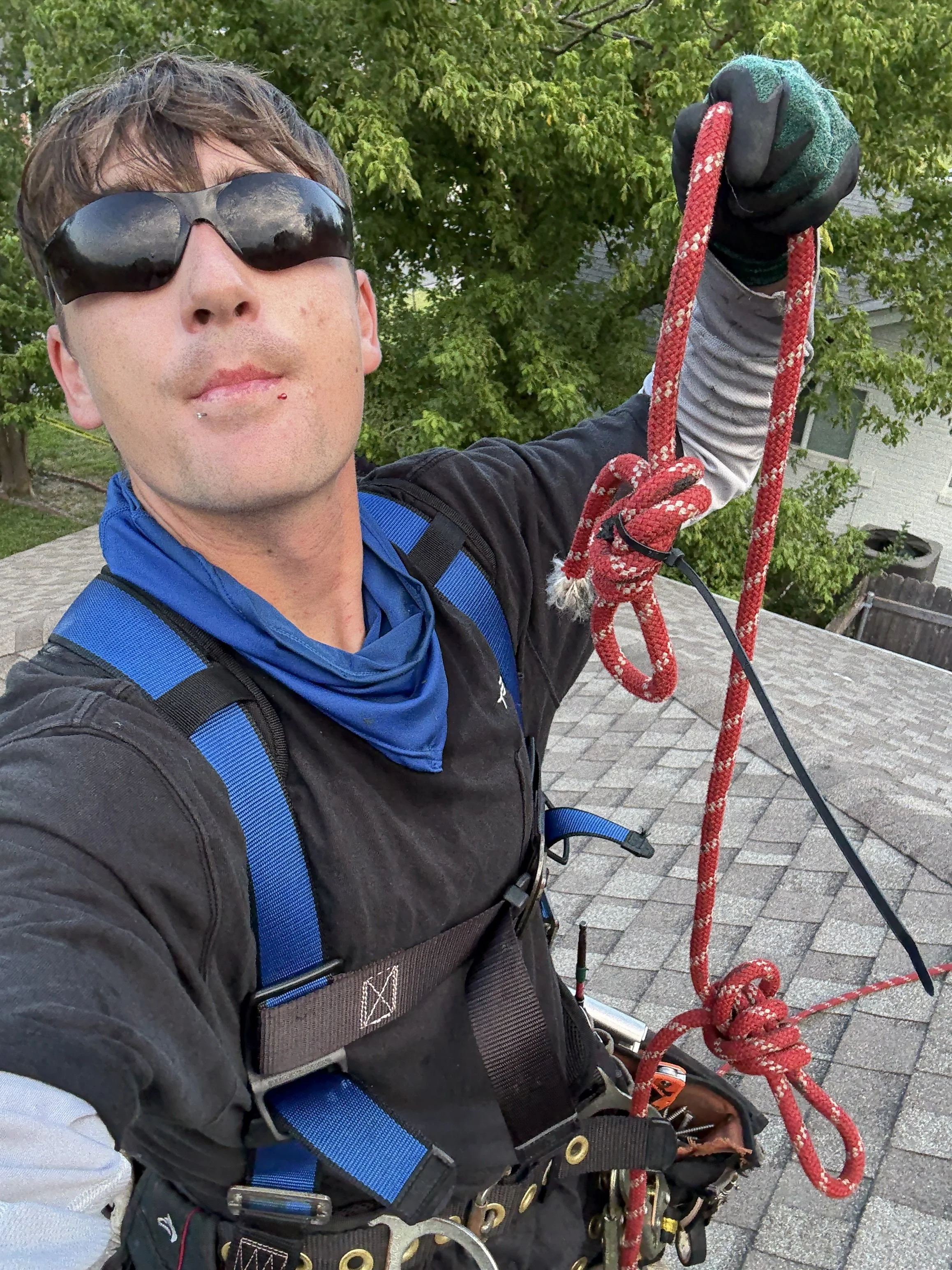 A person wearing sunglasses and a climbing harness, holding a climbing rope outdoors on a sunny day, with green trees and a house in the background.