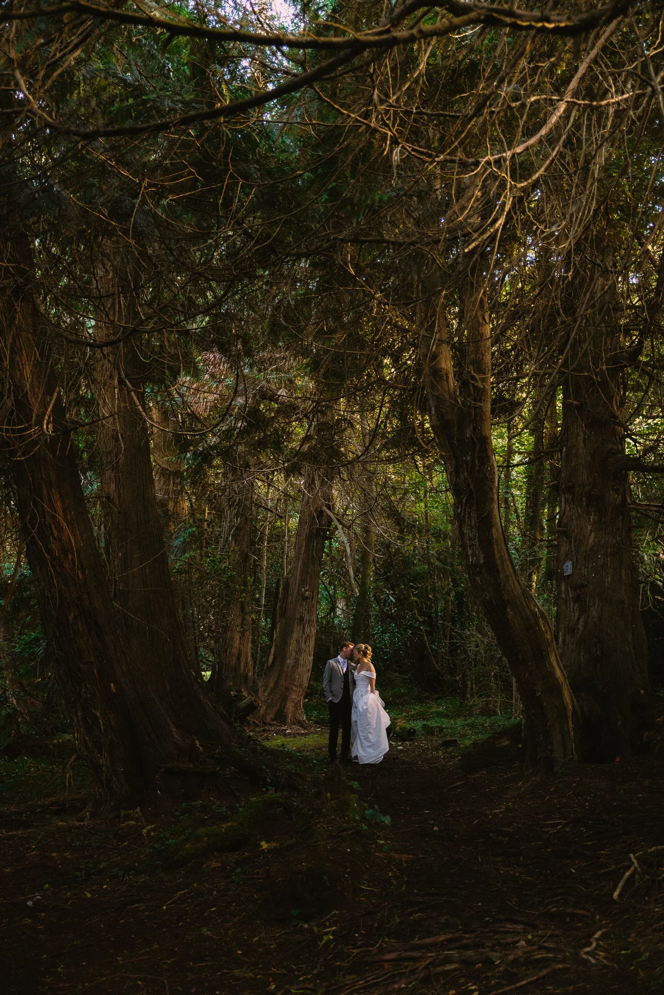 A couple dressed in wedding attire standing closely in a forest with tall trees and dense branches.