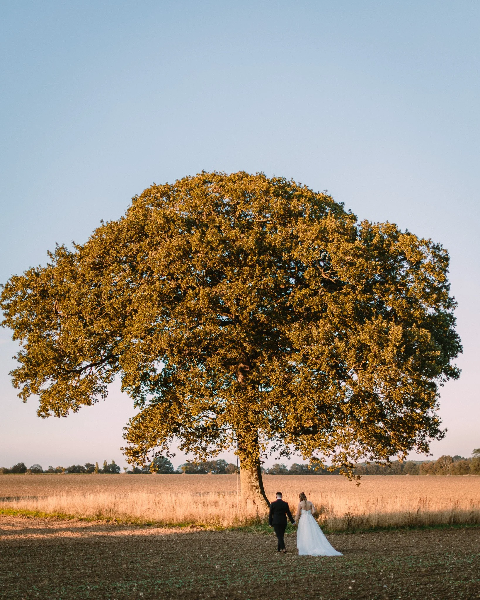 A newlywed couple walking hand in hand in a countryside field near a large tree during sunset. The groom is in a dark suit and the bride is in a white wedding dress. The scene is peaceful with an expansive sky and open landscape.