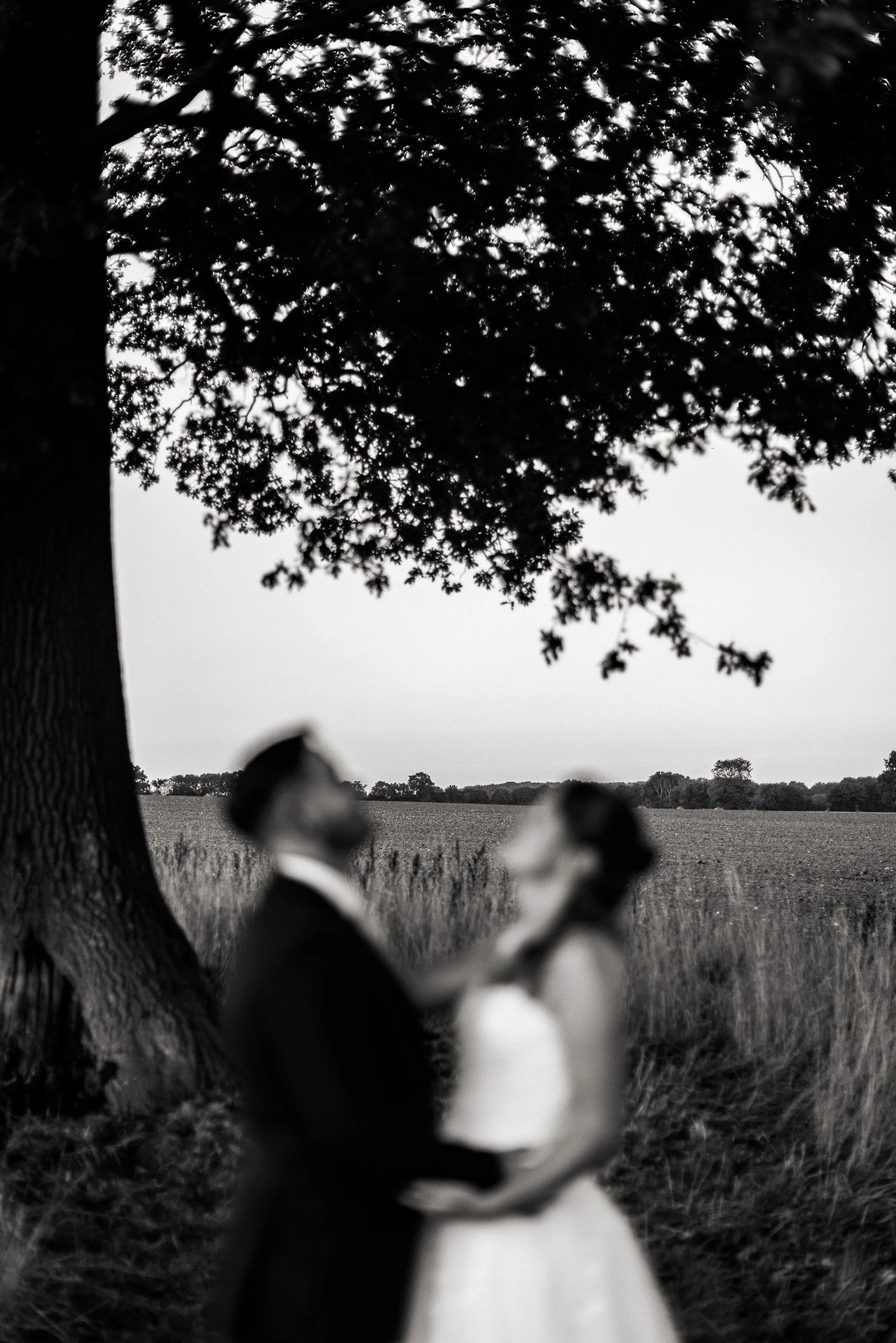 Black and white photo of a dog sitting outdoors, focusing on the back of its head and ears, with a tree and open field in the background.