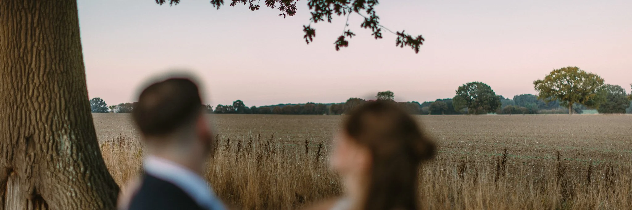 A blurry image of a man and woman standing outdoors near a large tree, with a field and scattered trees in the background at sunset or dusk.