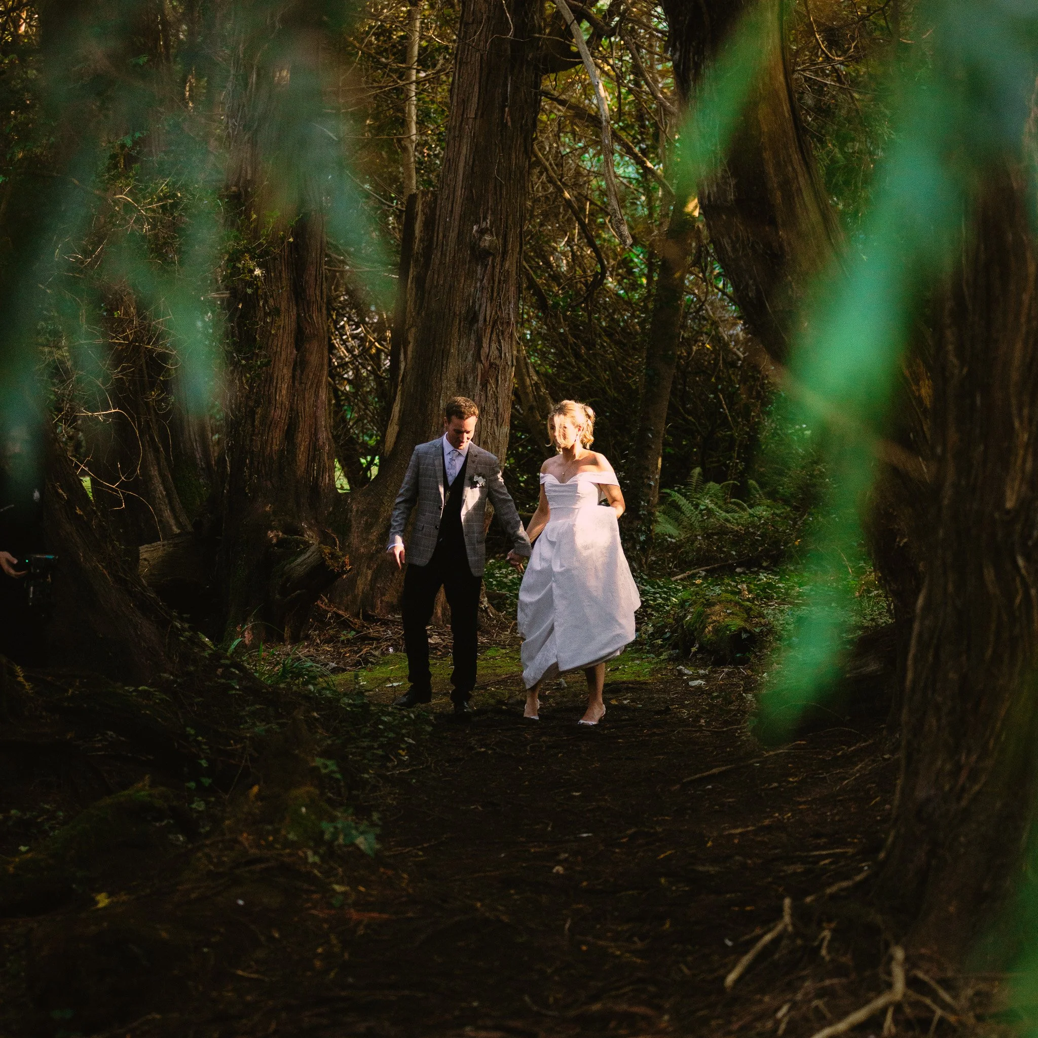 A scenic outdoor setting with large trees and dense foliage, with two people walking hand in hand through the forest. The scene is viewed through greenish foliage in the foreground.