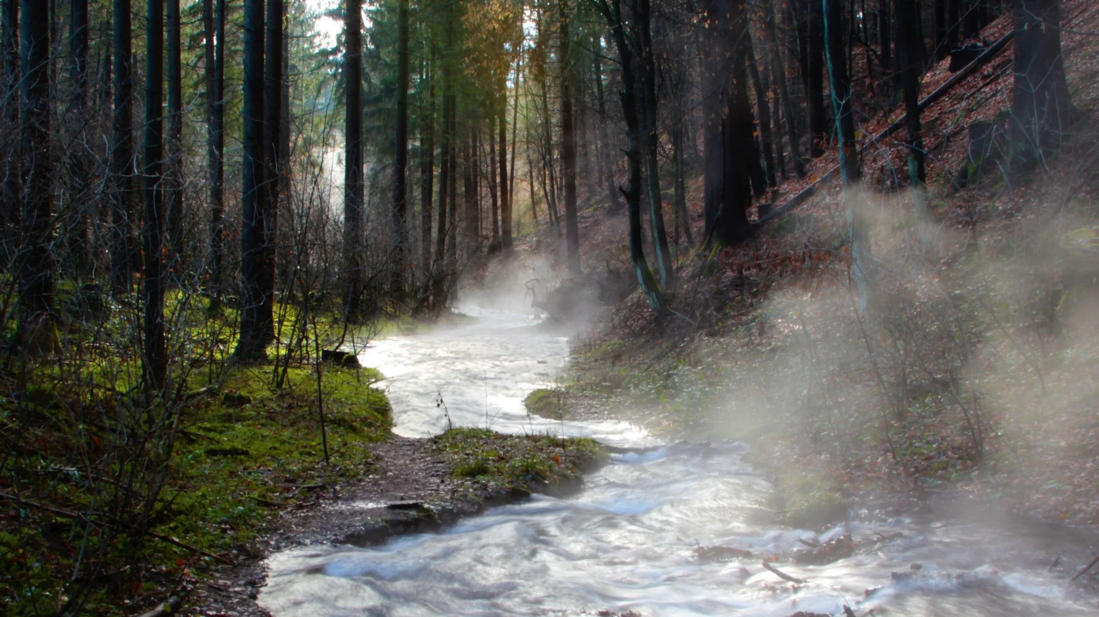 The Thermal Waters of Warmbad-Villach