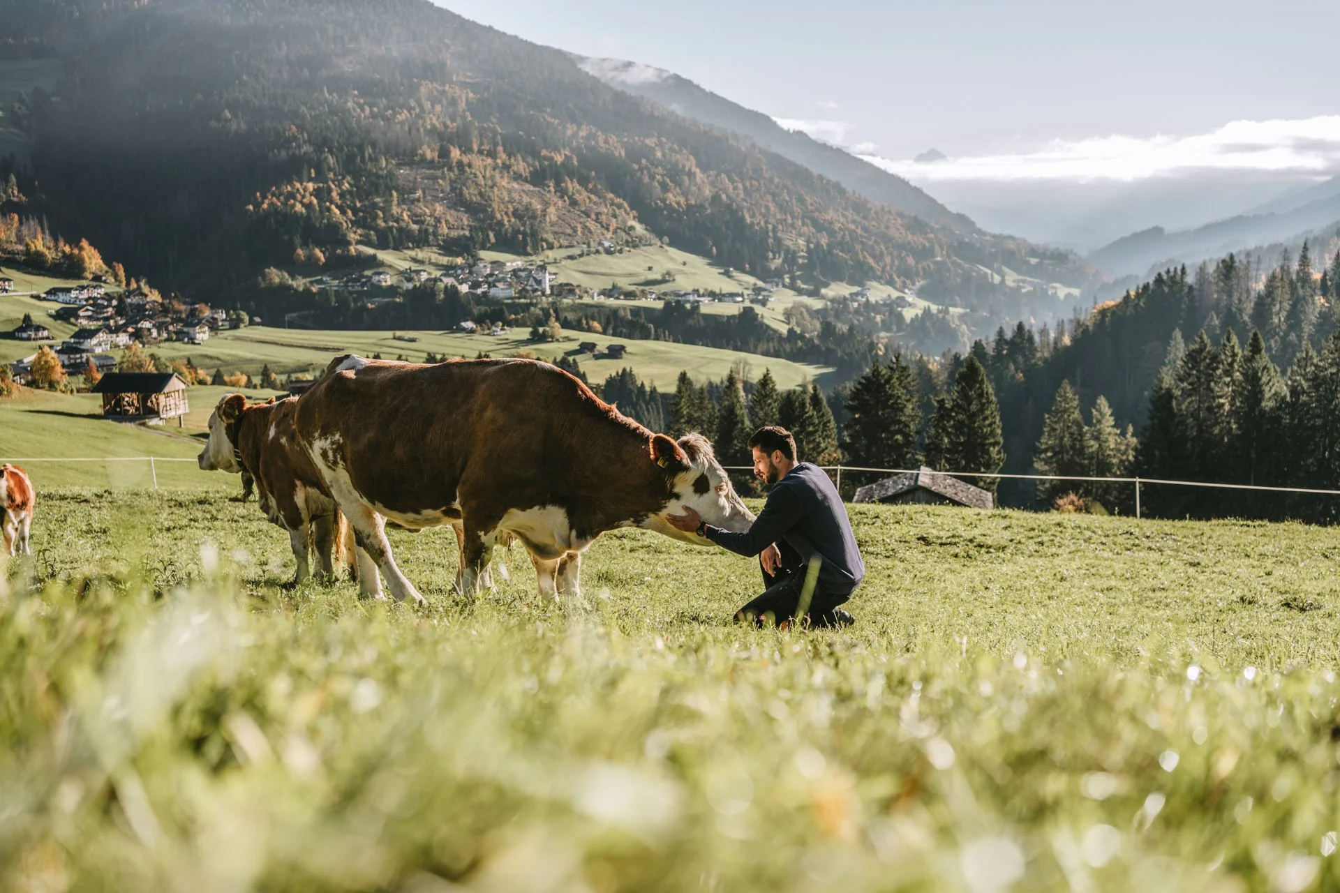 Where the Farm Is Part of the Stay: Gailtal and Lesachtal