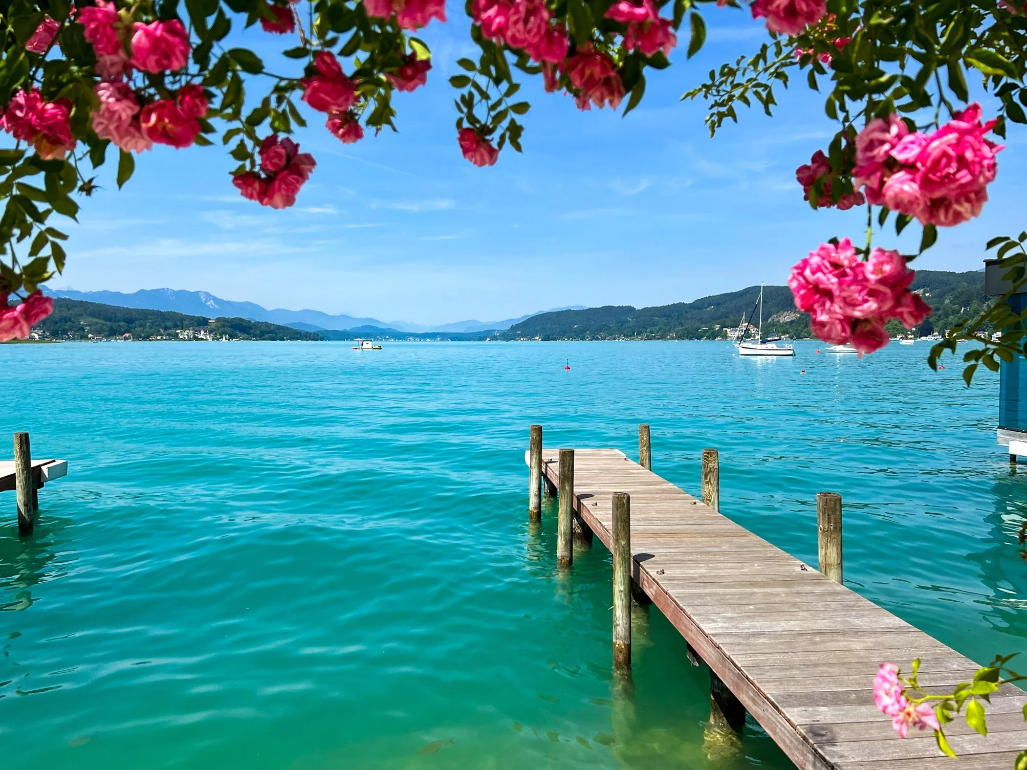 A wooden dock extends into a turquoise lake, framed by pink flowers hanging from the top. In the distance, there are hills and mountains under a clear blue sky with a few clouds. There are a few boats on the lake.