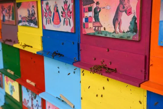 Colorful bee hotel with multiple compartments painted in yellow, green, red, blue, and orange, with bees entering and exiting the holes and artwork hanging above.