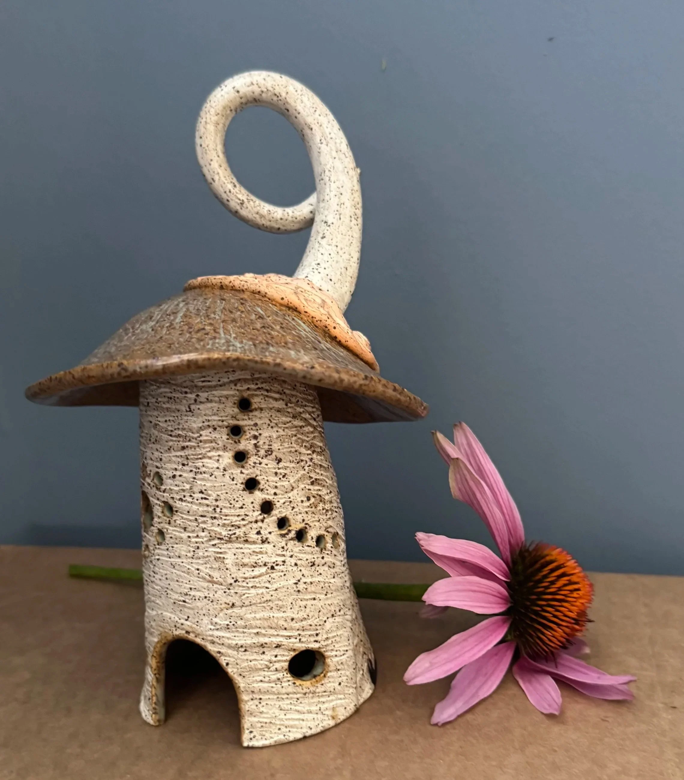 house+with+coneflower.jpg
