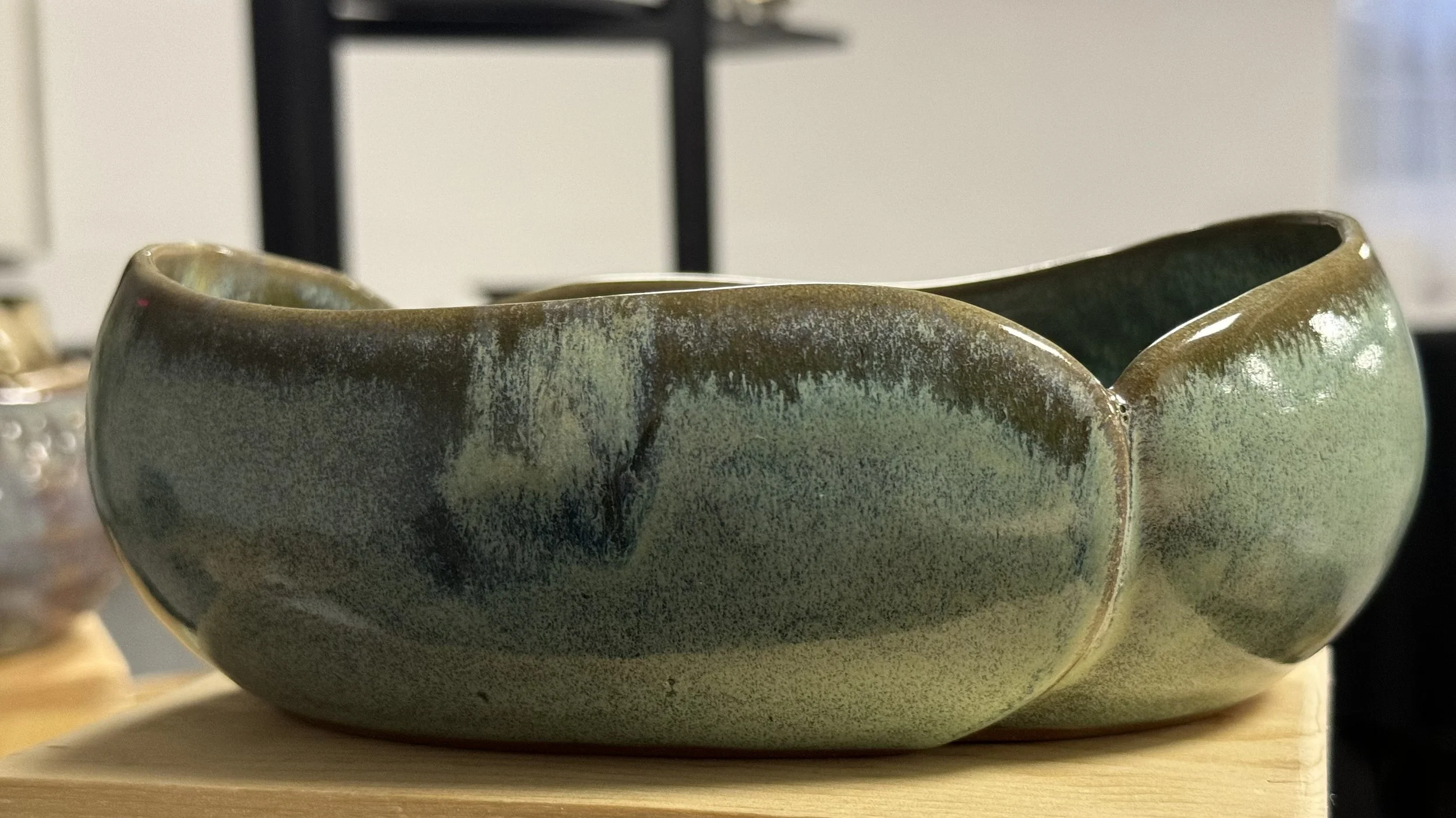 Bashoe small close up.jpeg