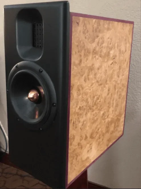 A close-up of a vintage or retro-style speaker with a wooden side panel and black front, featuring a tweeter and a woofer.