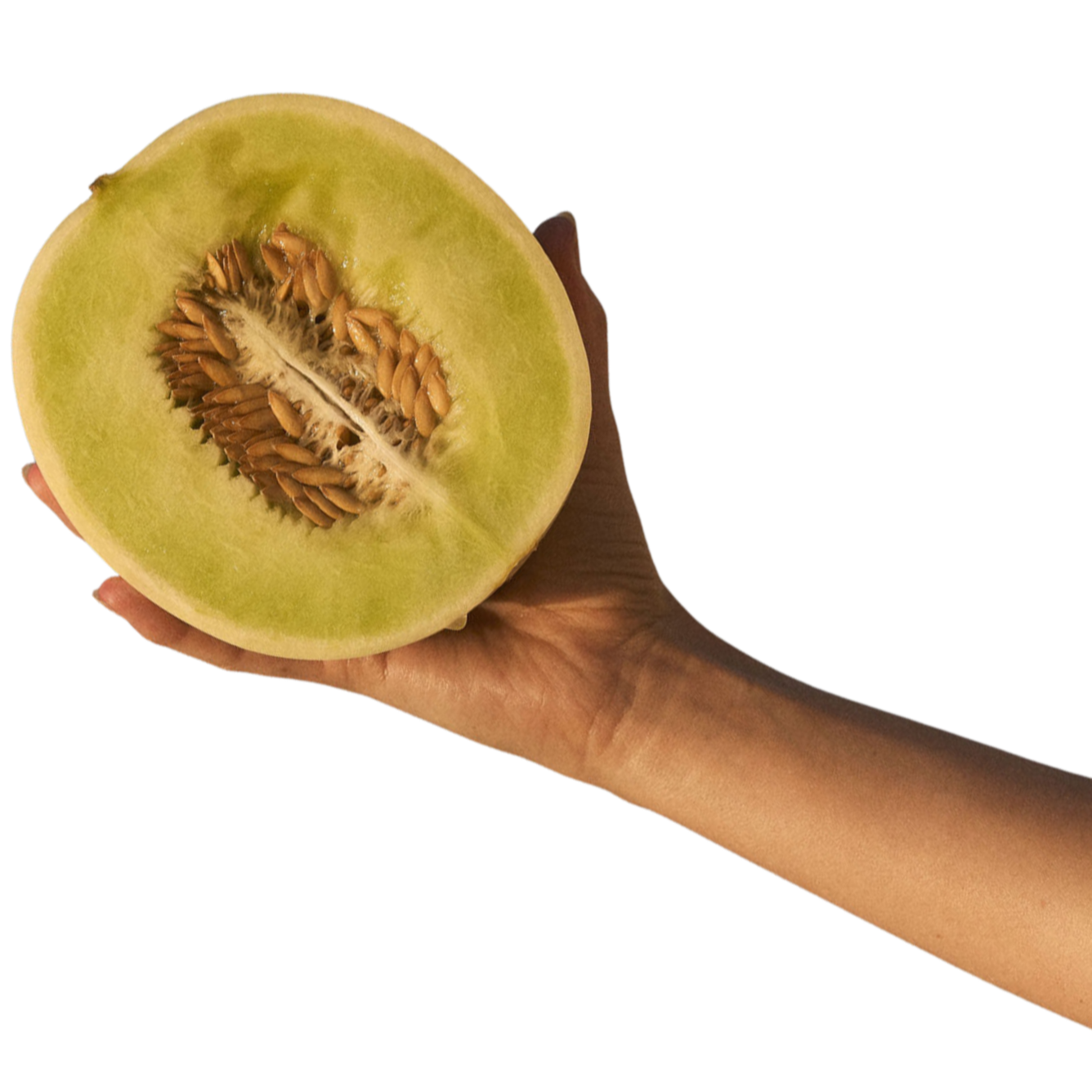 Hand holding half of a yellow-green melon with seeds inside.