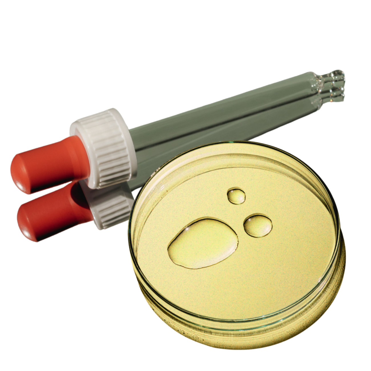 A petri dish with liquid and three drops, a test tube with a gray cap, and two test tubes with red caps arranged above the petri dish.