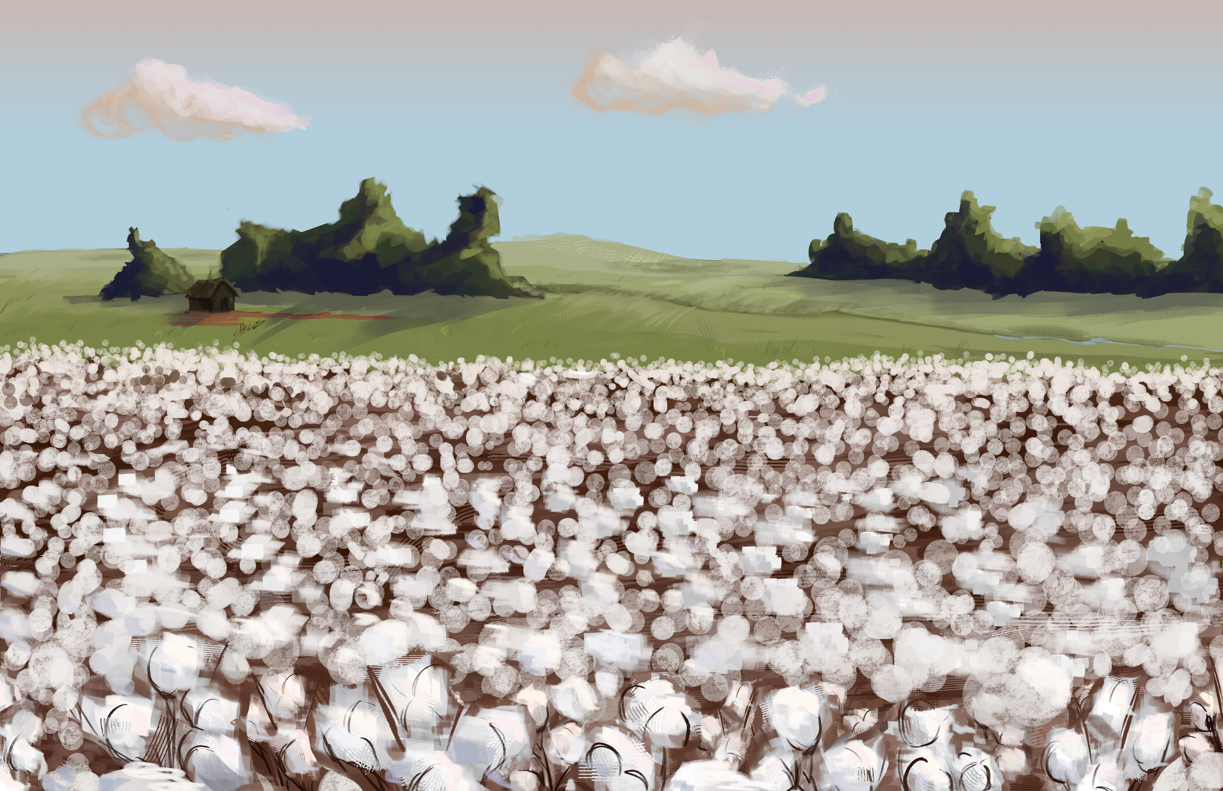 Cotton Field (2026)
Digital