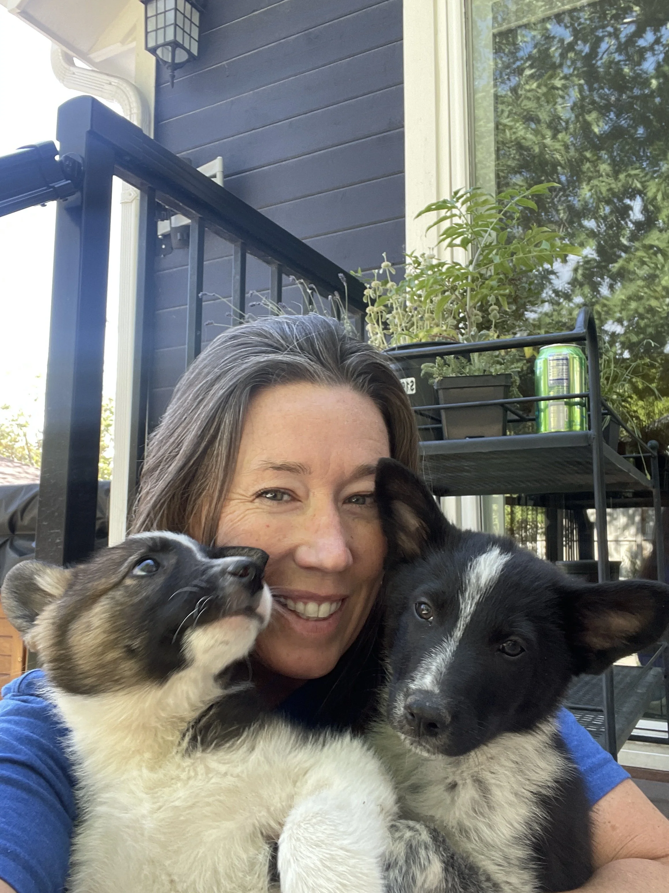 A woman hugging three young puppies outdoors on a sunny day, with trees and house visible in the background.