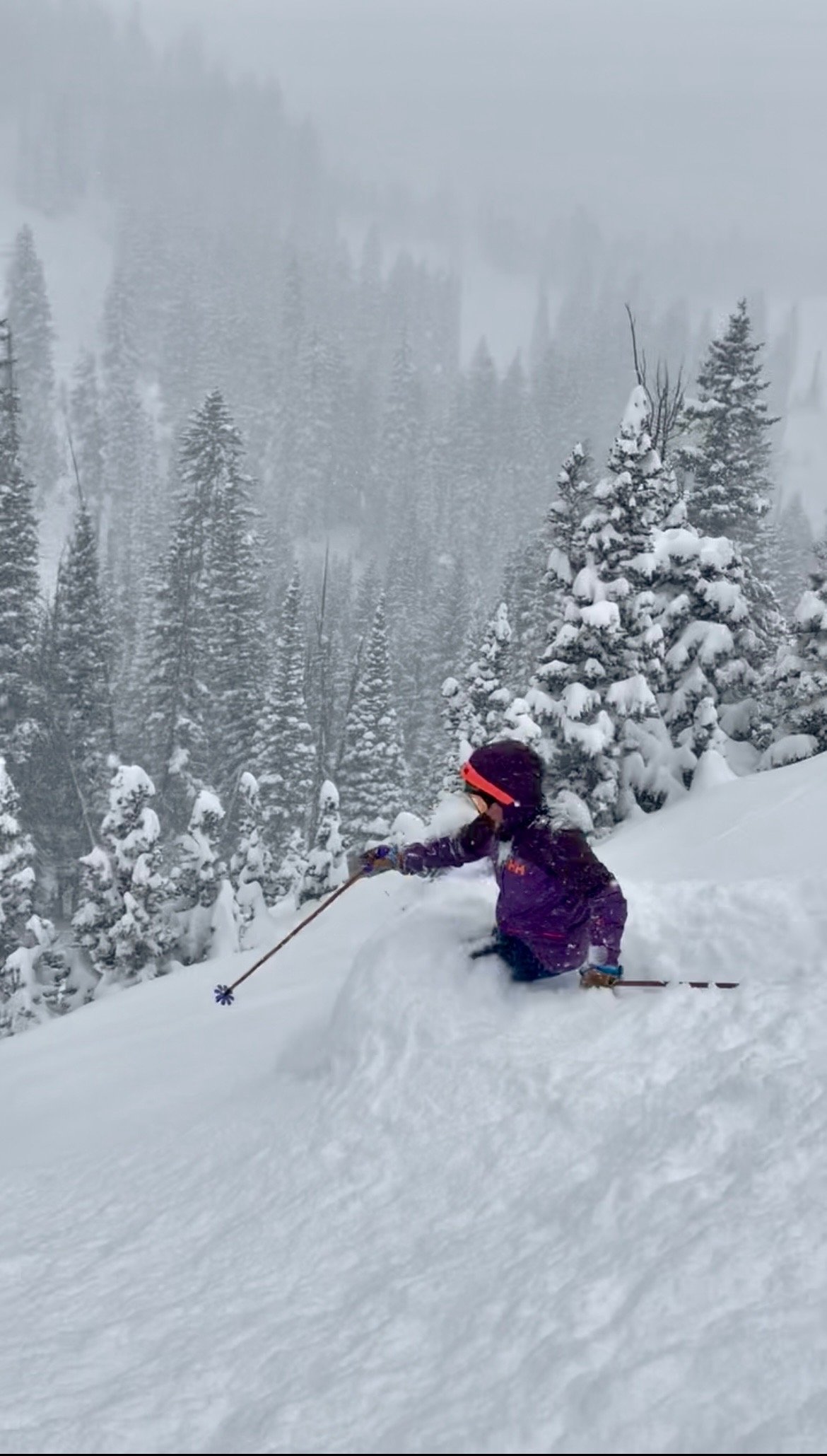 A child wearing a purple winter jacket, black snow pants, and a purple helmet with a red stripe is skiing or snowboarding on a snowy mountain slope surrounded by snow-covered evergreen trees and foggy weather.