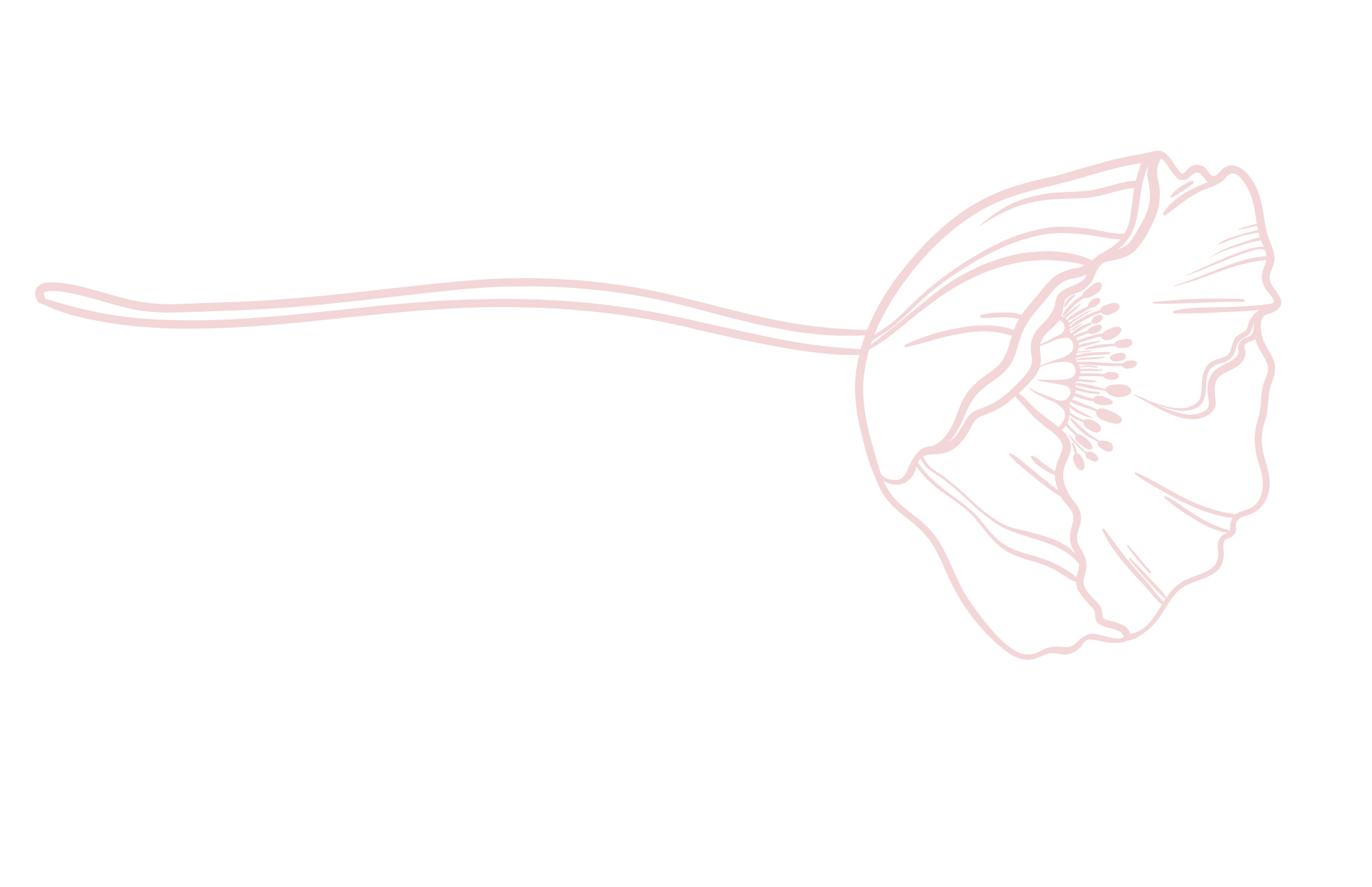 Line drawing of a female profile with floral elements integrated into her hair and neck on a black background.