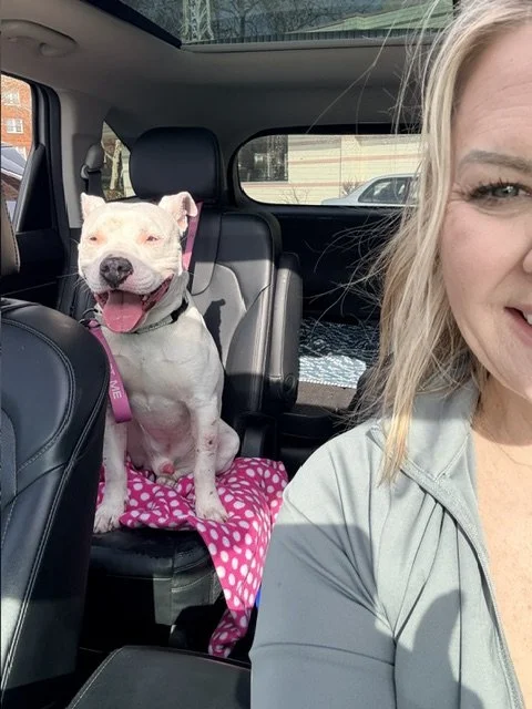Smiling woman and a happy dog with a pink collar in a car.