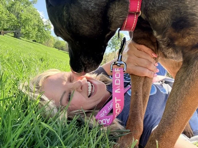A woman lying on grass smiling as a large dog, wearing a pink collar, licks her face in a park with green trees and blue sky.