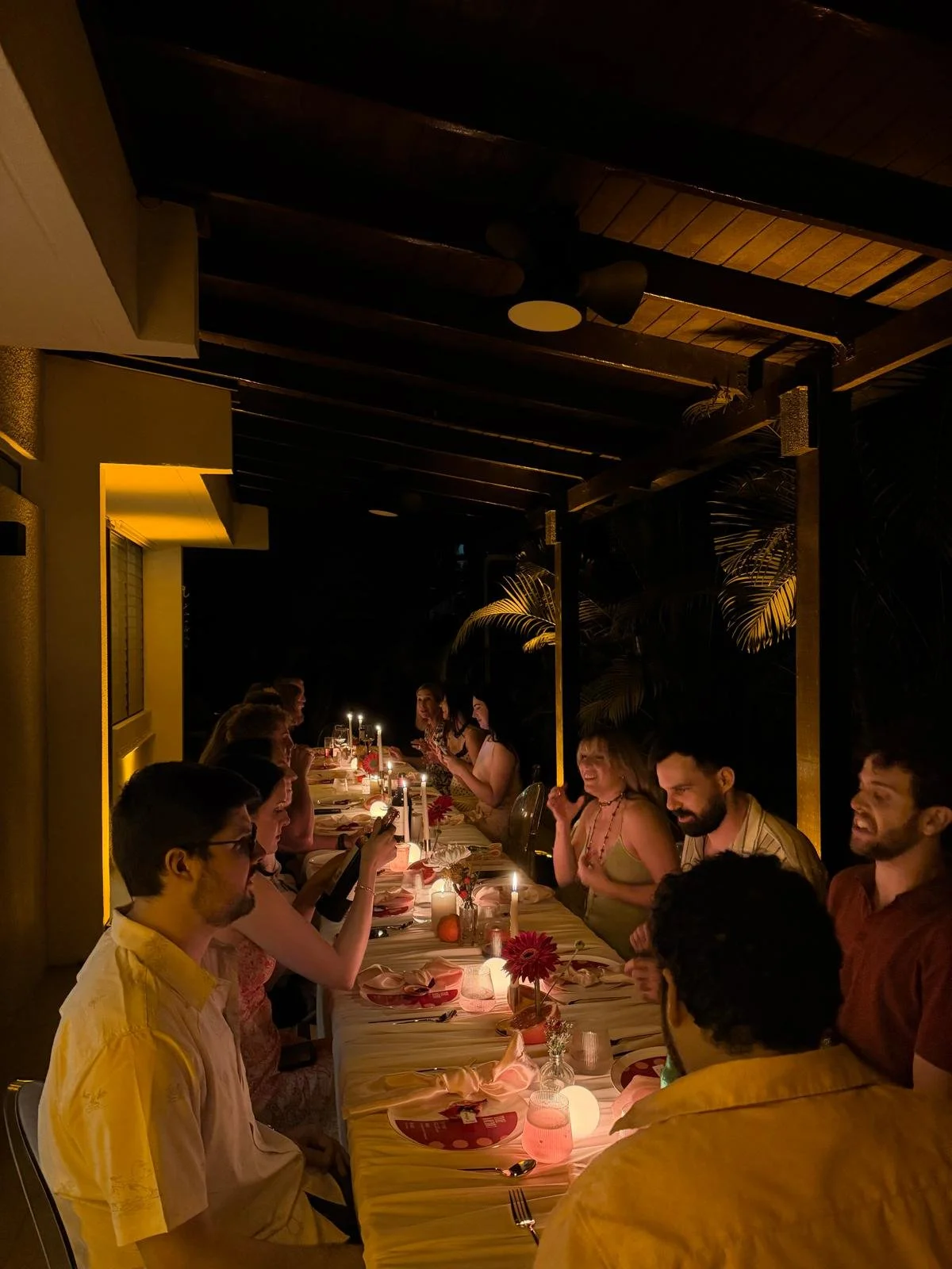 People enjoying a dinner party at a long outdoor table decorated with flowers, candles, and tableware under warm lighting at night.