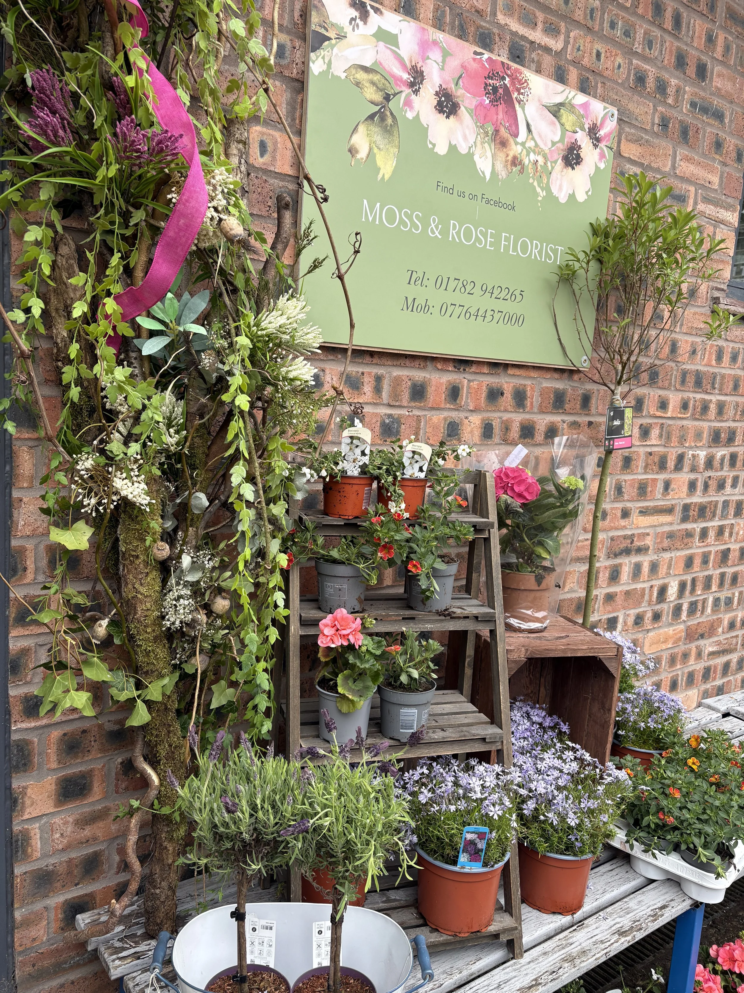 Assorted flowering plants and small trees arranged on a wooden stand outside against a brick wall, with a sign reading 'Moss & Rose Florist' and contact information.