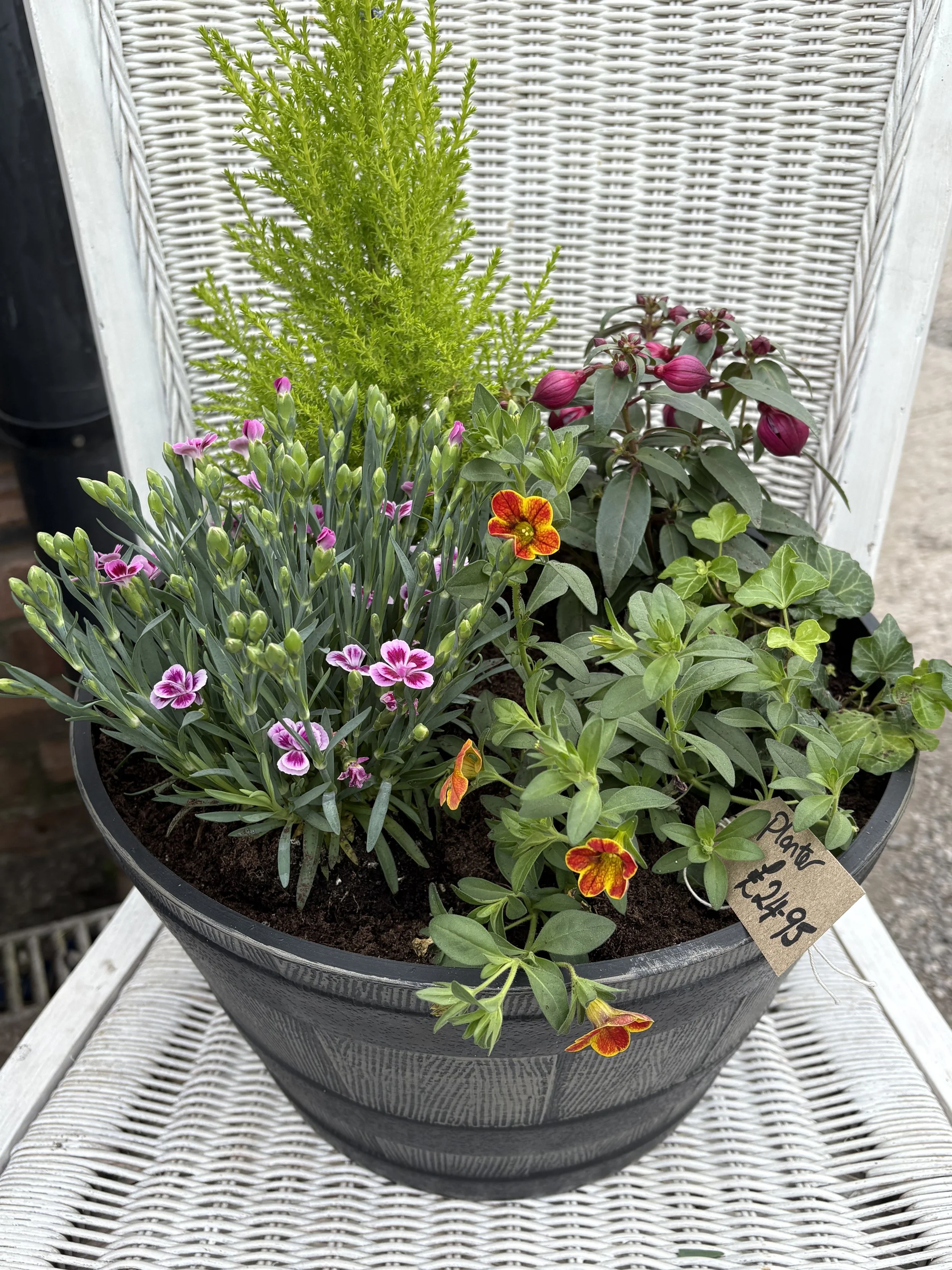 Barrel Planter