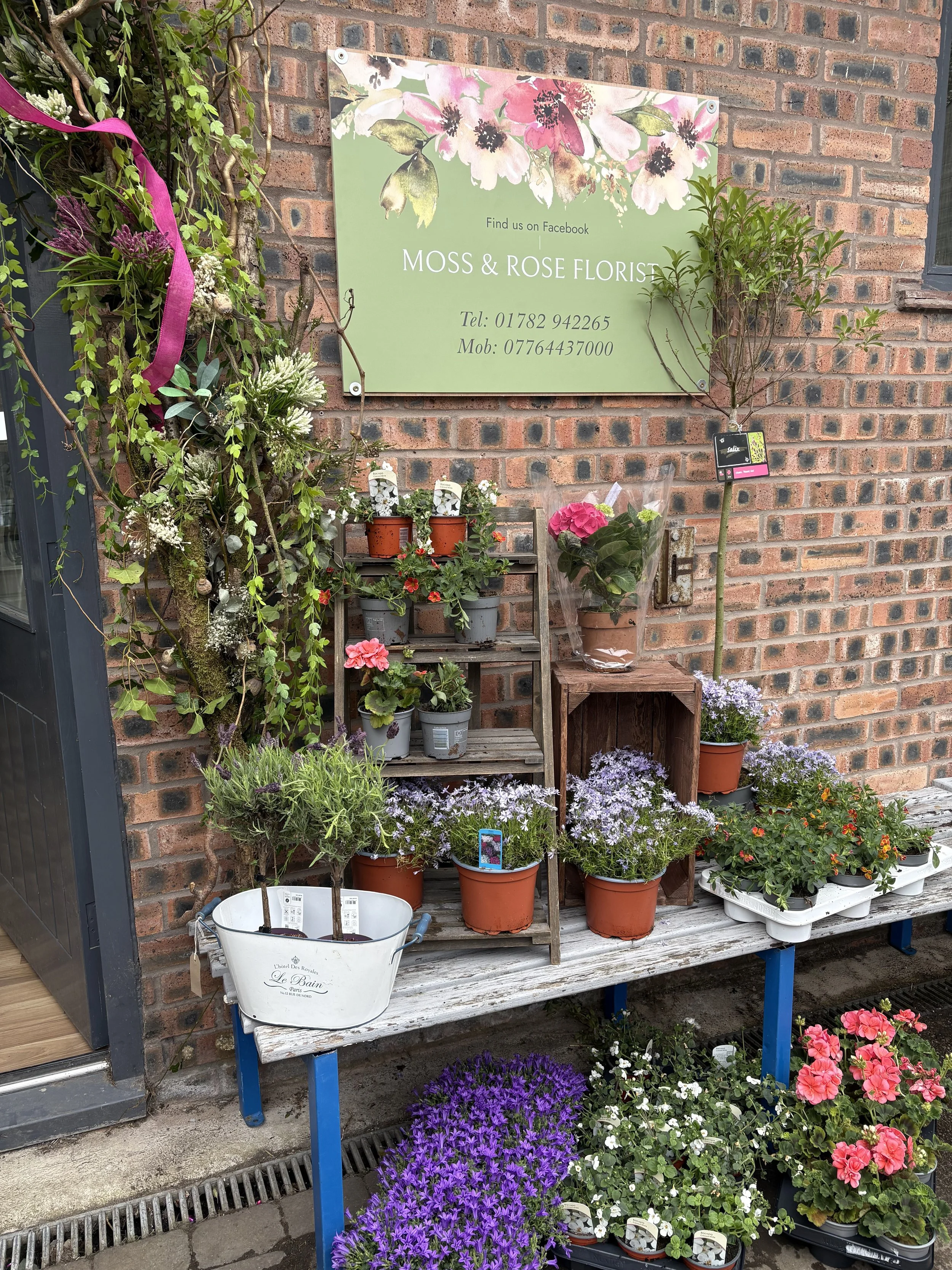 Display of potted plants and flowers at a florist shop, with a green sign on a brick wall advertising Moss & Rose Florist and their contact information.