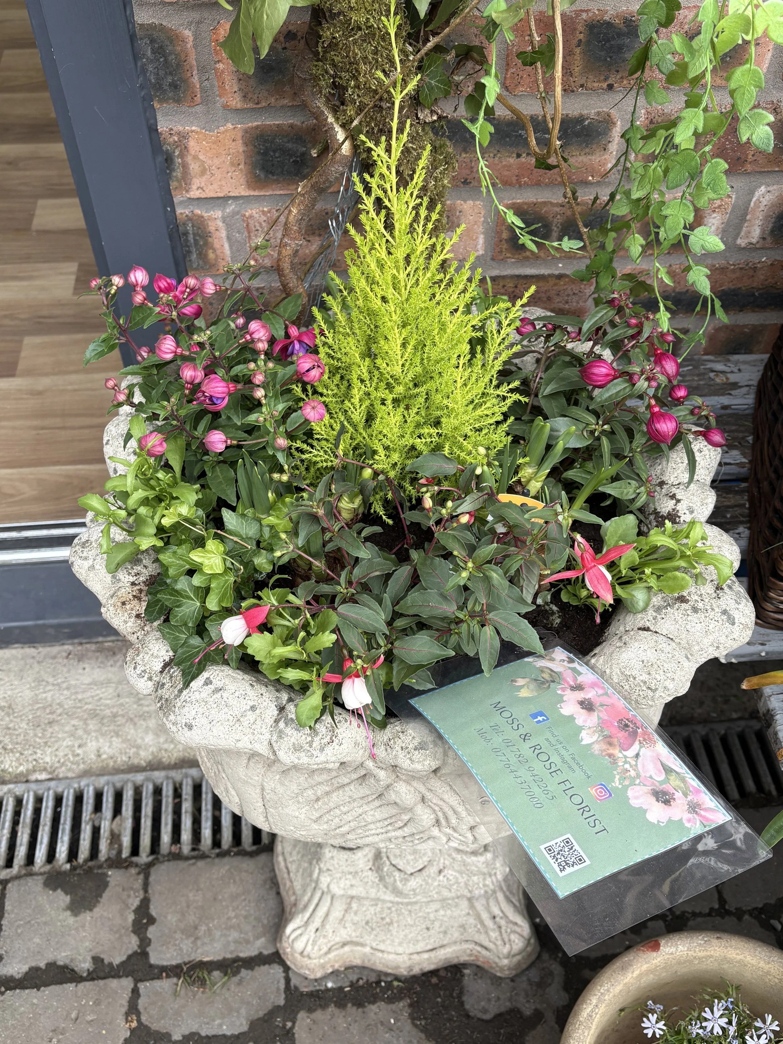 Pair of Concrete Planters