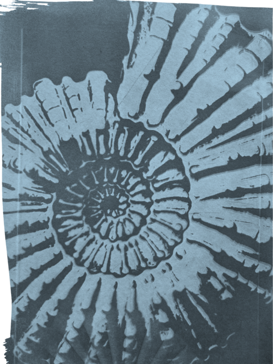 Picking up the pieces: A conversation with collage artist Ray Orr