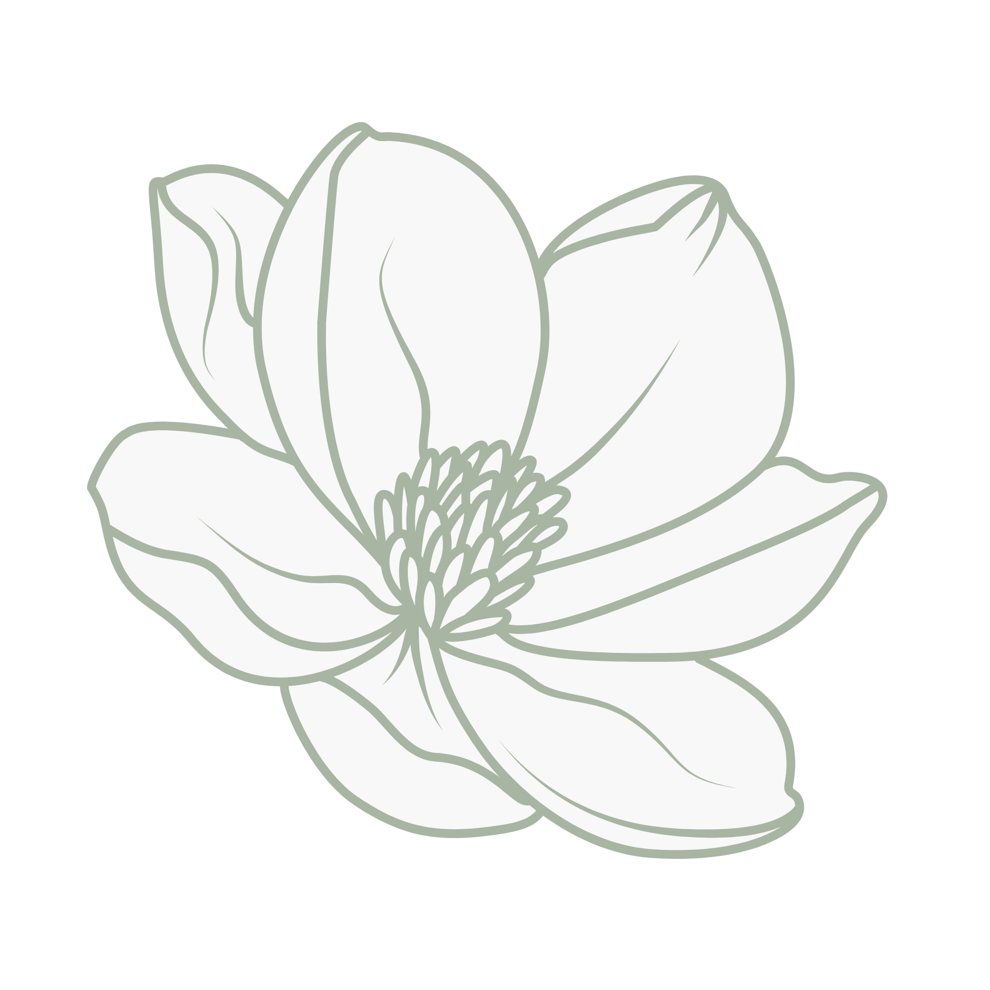 Line drawing of a blooming magnolia.