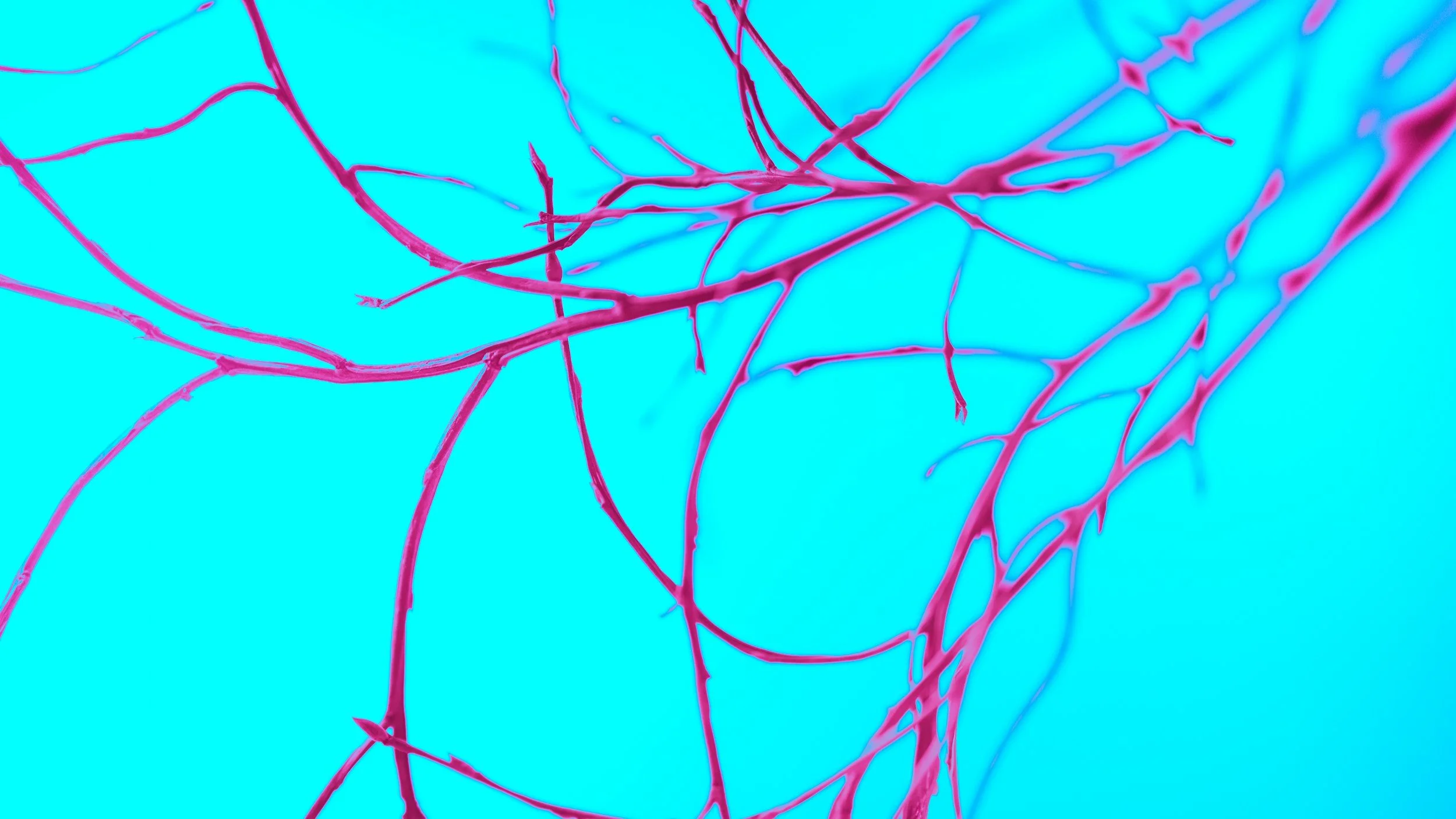 Arterial Stiffness &amp; Vascular Aging