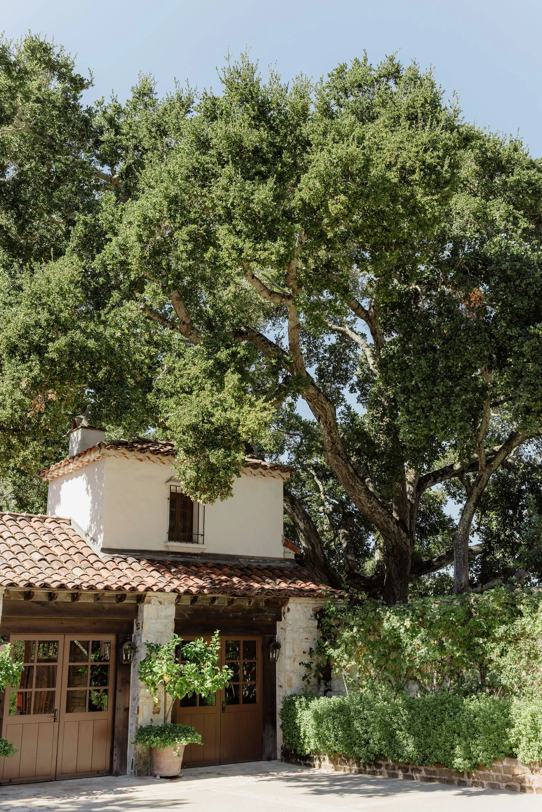 A white stucco house with brown wooden doors and tiled roof, surrounded by lush green bushes and tall trees under a clear blue sky.