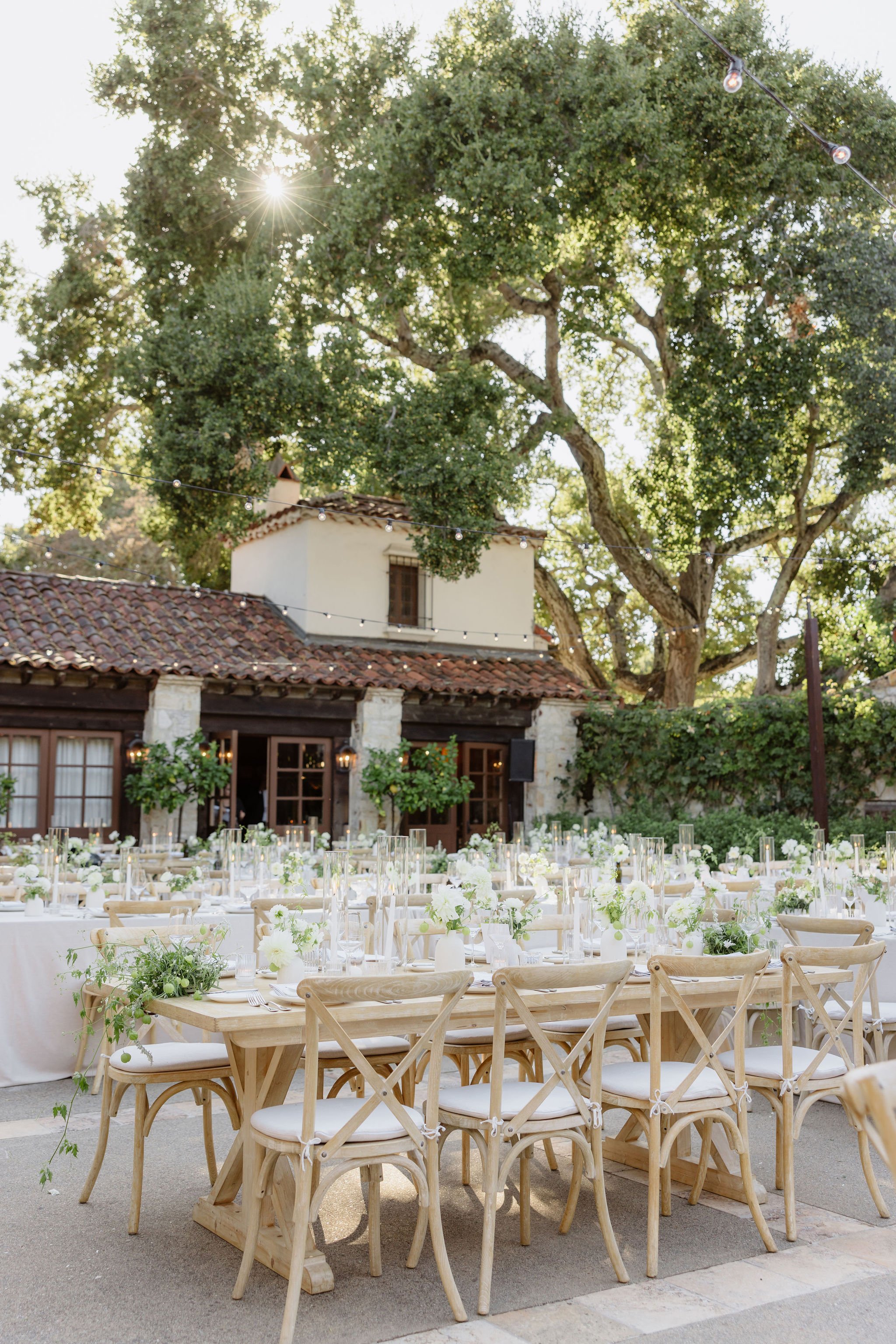 Outdoor wedding reception setup with multiple tables decorated with white flowers and candles, wooden chairs with white cushions, large green trees, string lights, and a building with a tiled roof in the background, sunlight filtering through the trees.