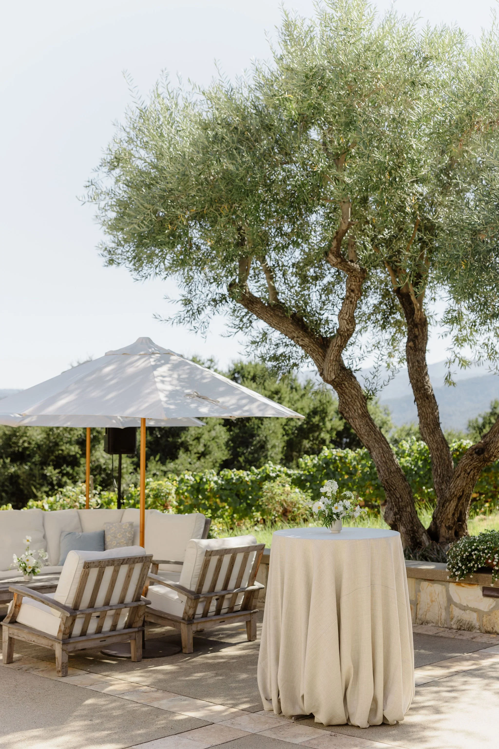 An outdoor patio scene with a round table covered with a beige tablecloth, surrounded by wooden chairs and a white sofa with pillows. A large white patio umbrella provides shade, and there are plants and flowers nearby. A tall tree with a thick trunk