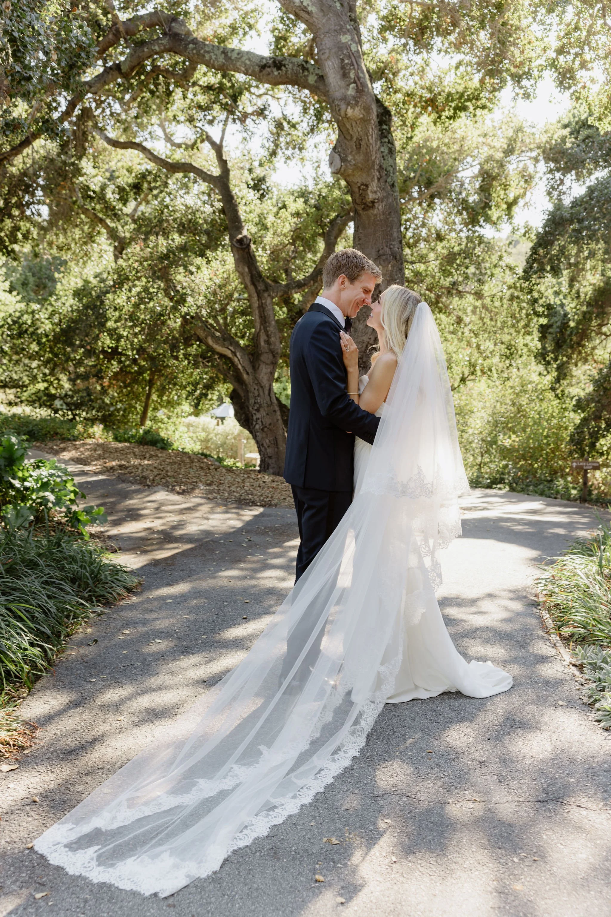 A bride and groom smiling and looking at each other, standing close under a large tree in a sunny outdoor setting during their wedding. The bride is wearing a white wedding dress with a long veil, and the groom is in a dark suit.