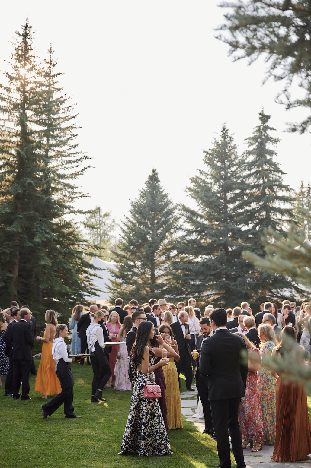 A large outdoor gathering of people dressed in formal and semi-formal attire, standing on grass near a pathway, surrounded by tall pine trees under sunlight.