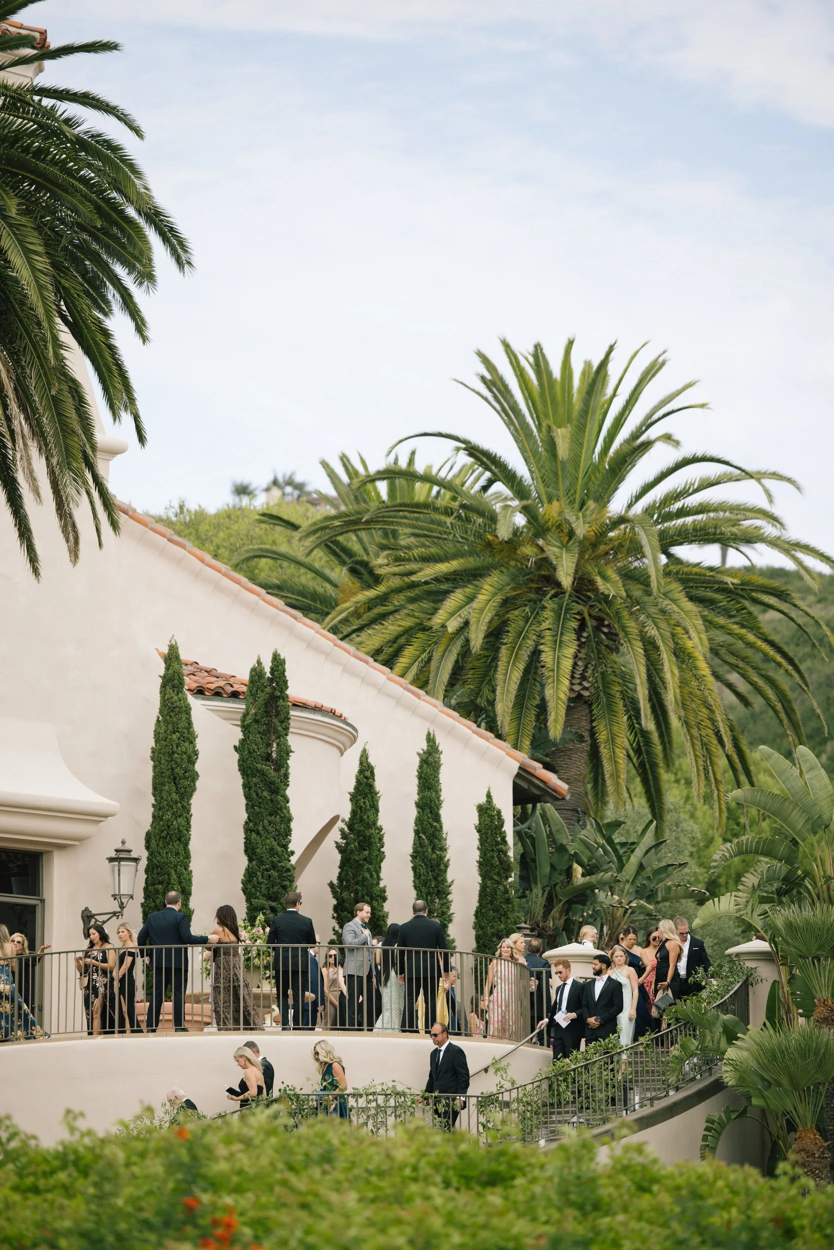 People dressed in formal attire at an outdoor wedding ceremony with tall palm trees and lush greenery surrounding the venue.