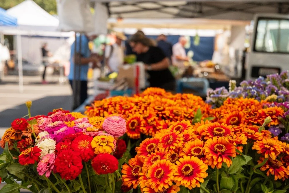 Colorful flowers, including orange, pink, red, and purple blossoms, displayed at a farmers market.