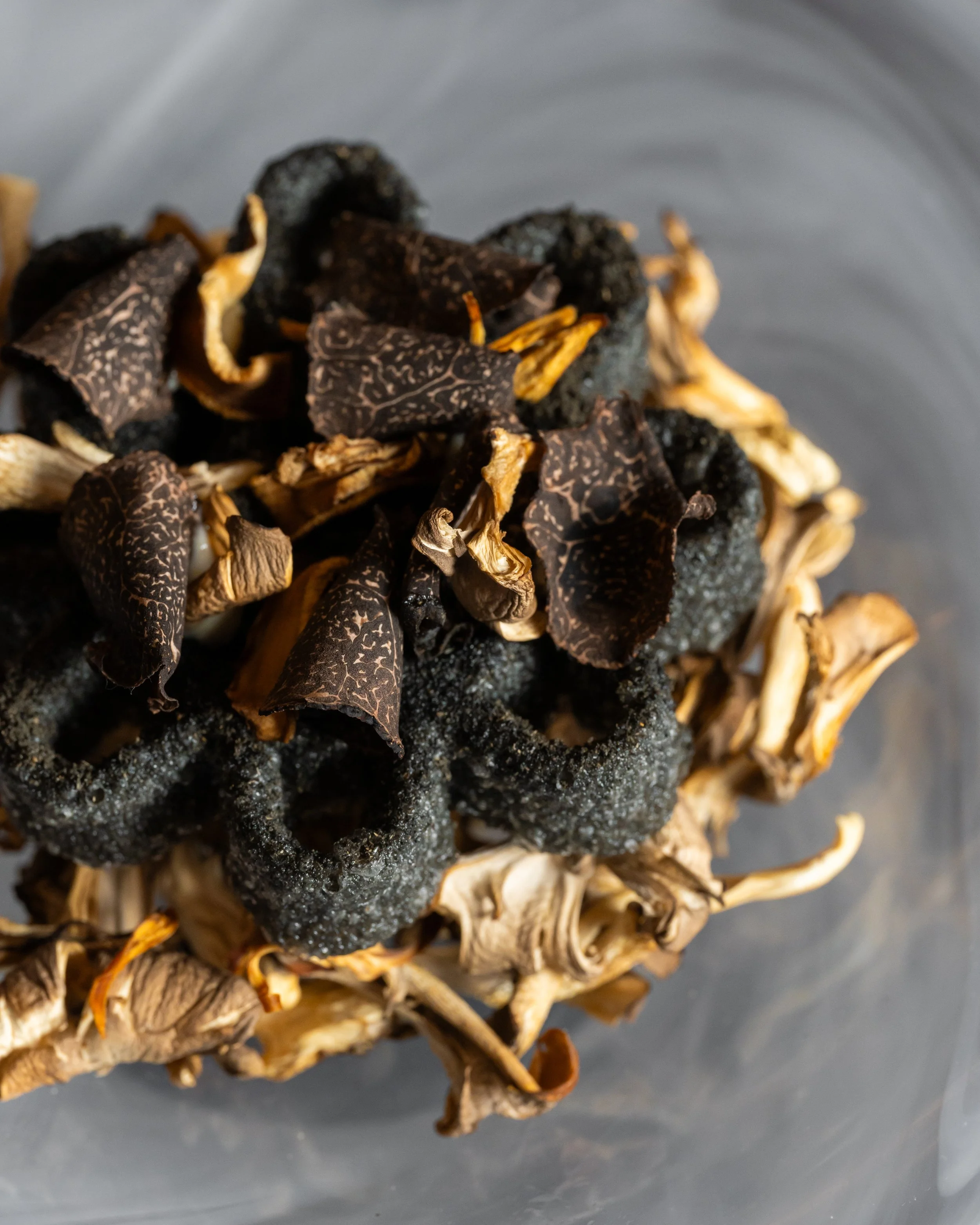 2023 NOV TERO 07.jpg