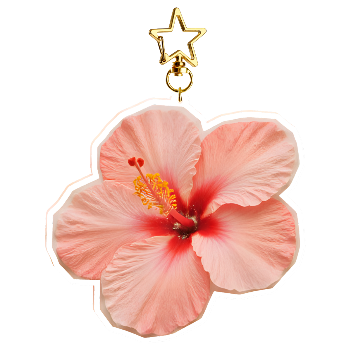 Pink Hibiscus