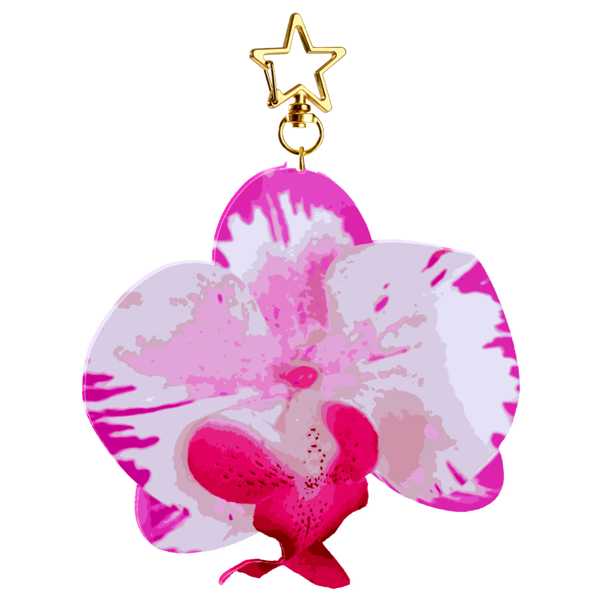 Orchids