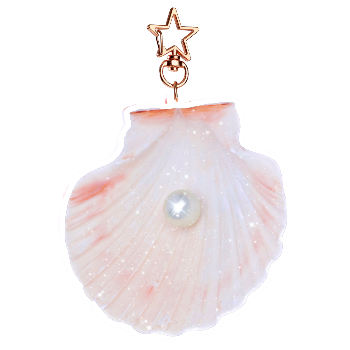 Seashells