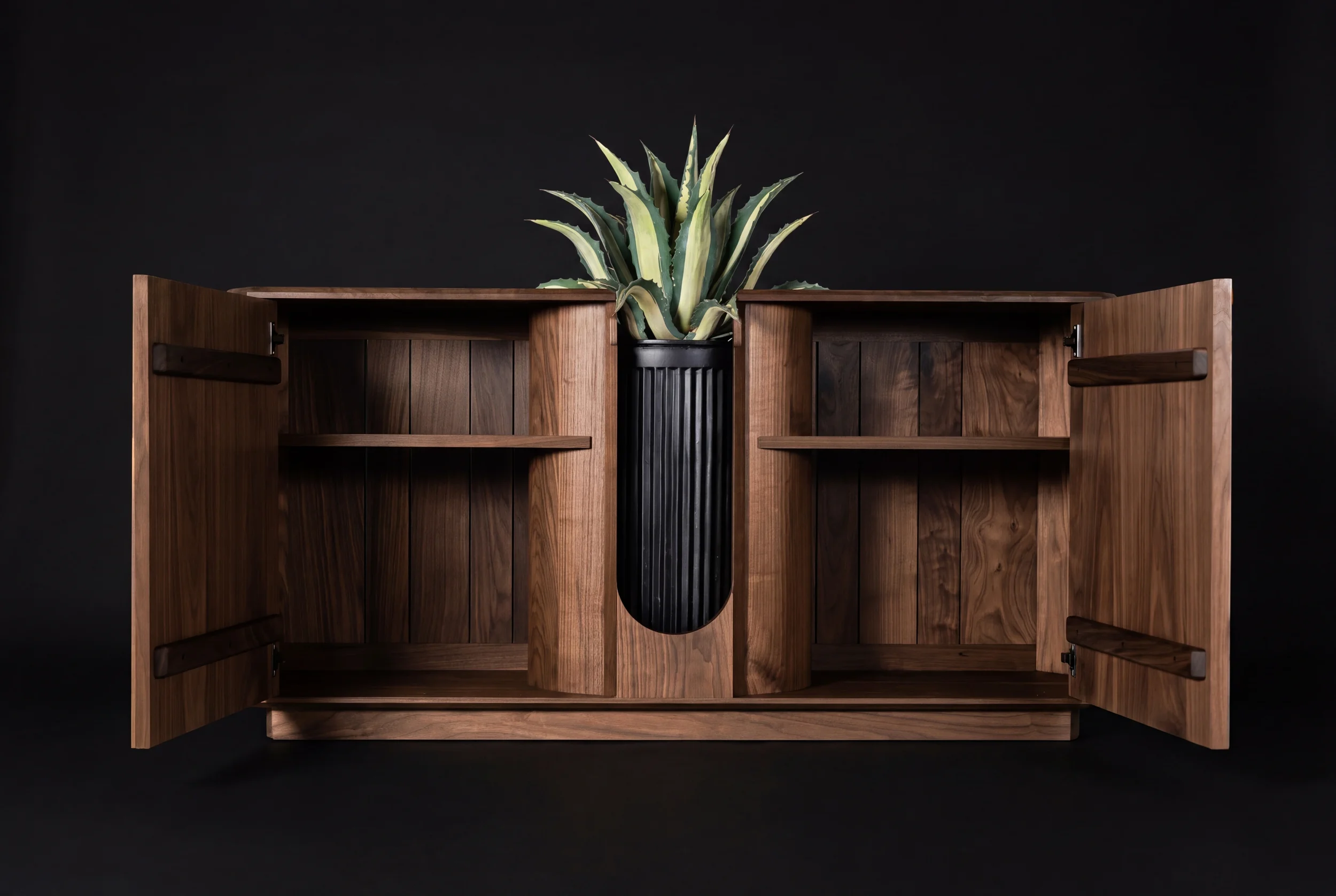 Open wooden cabinet with a black vase containing a green and yellow aloe vera plant, against a black background.